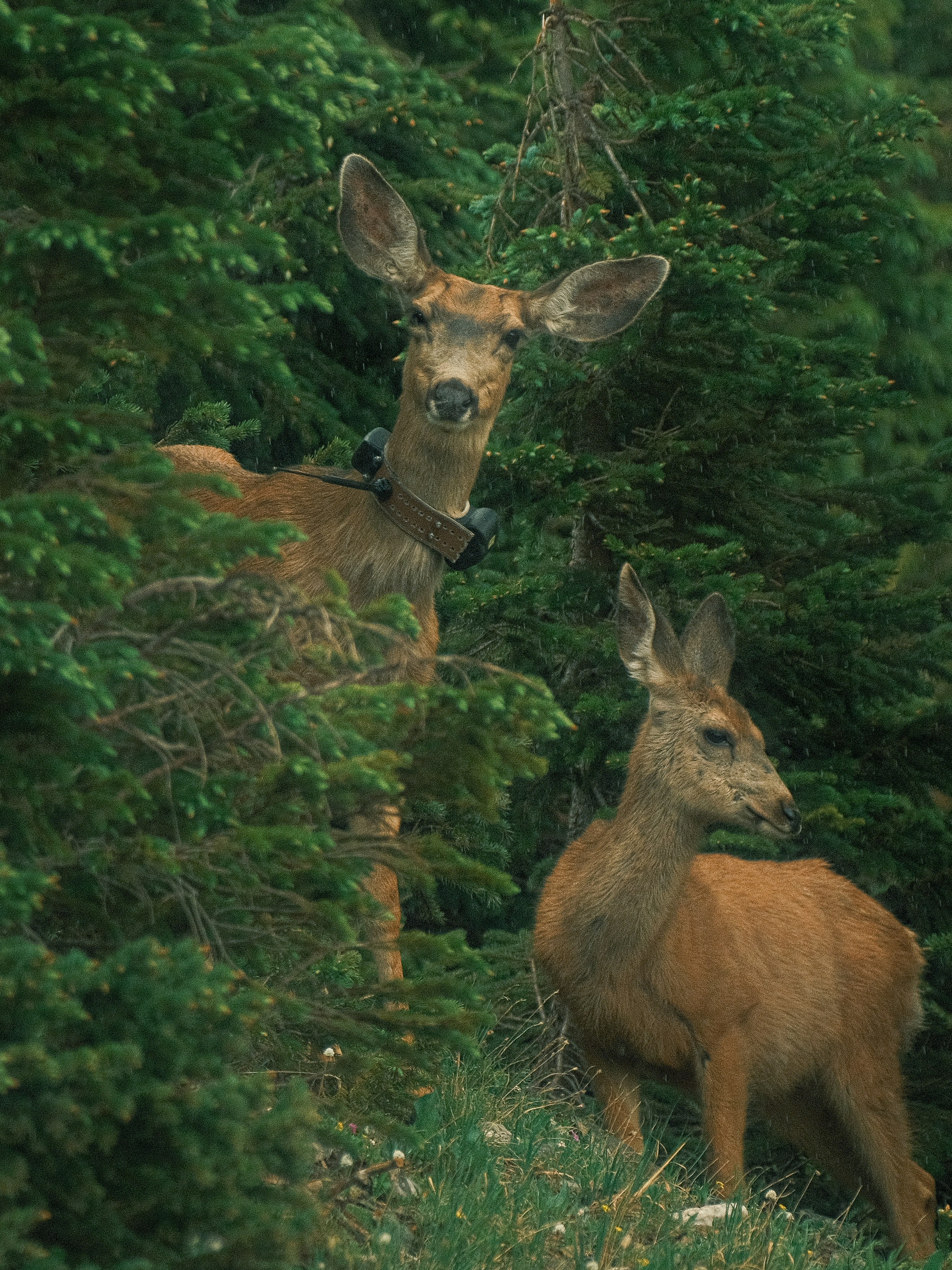 Photo by maxmeadowcroft