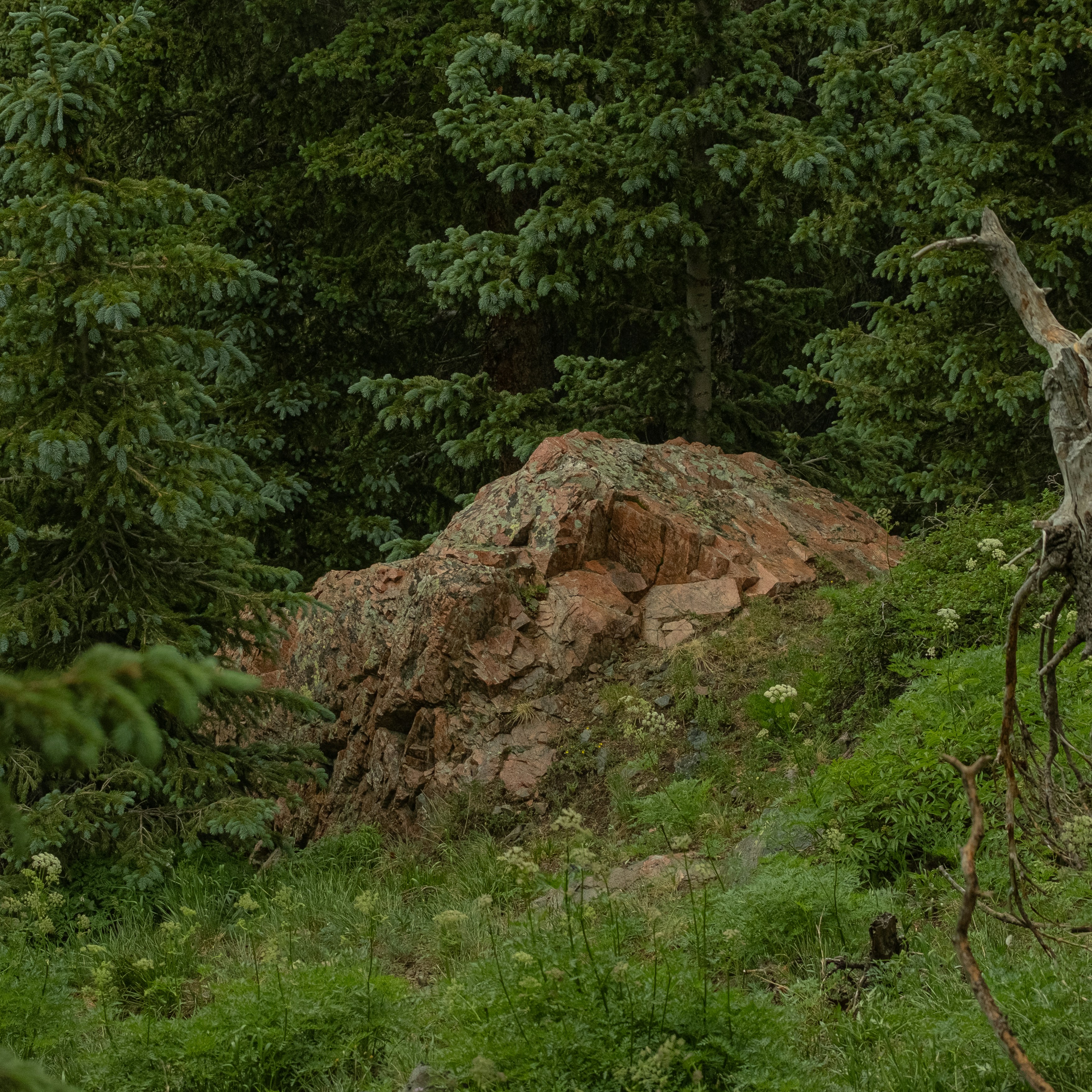 Photo by maxmeadowcroft