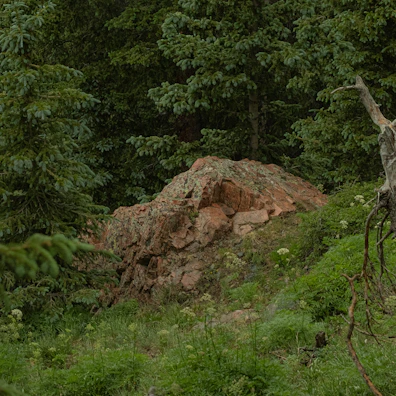 Quiet rocky outcrop near the Coubiou hamlet surrounded by lush greenery.
