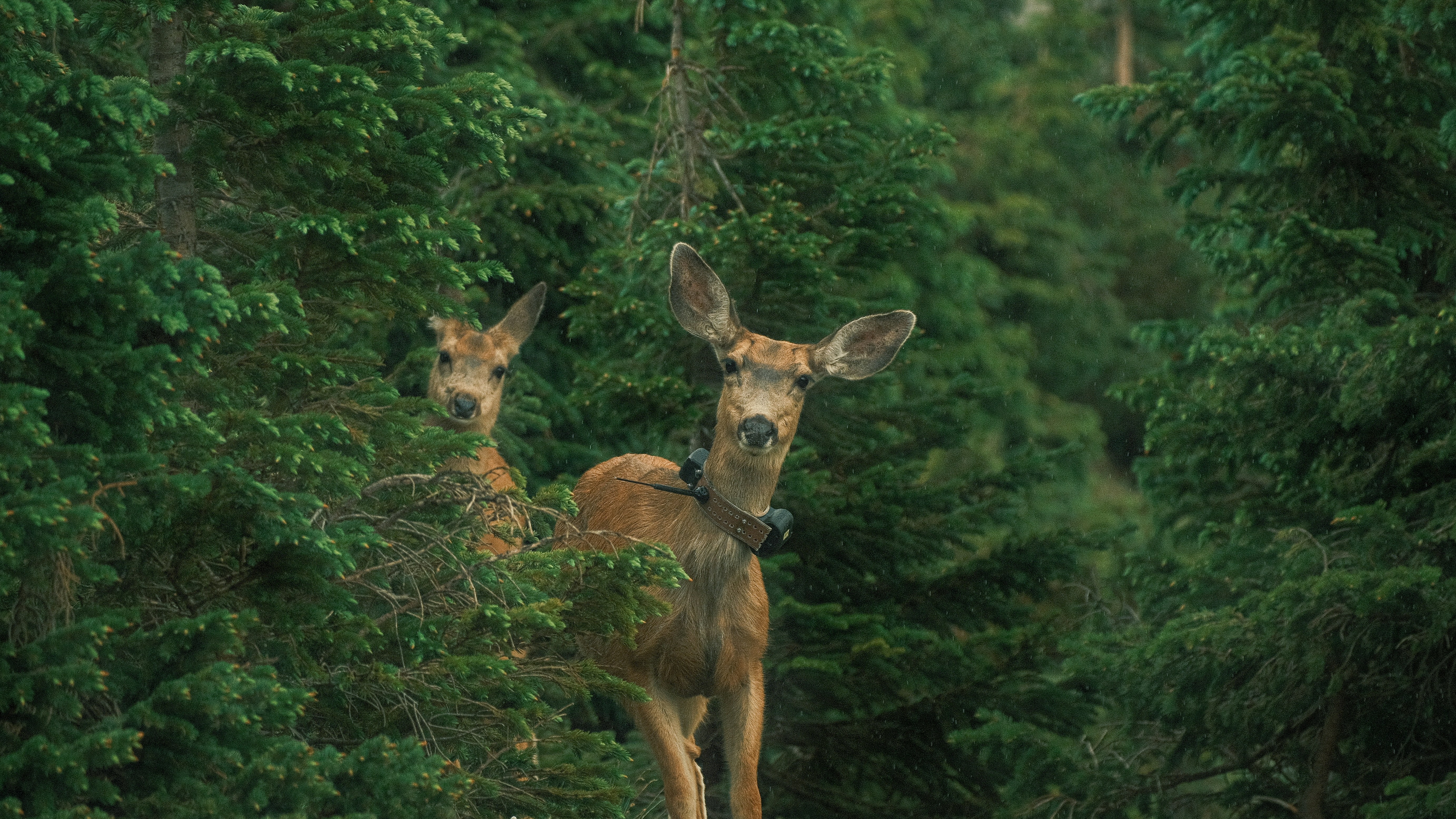 Photo by maxmeadowcroft