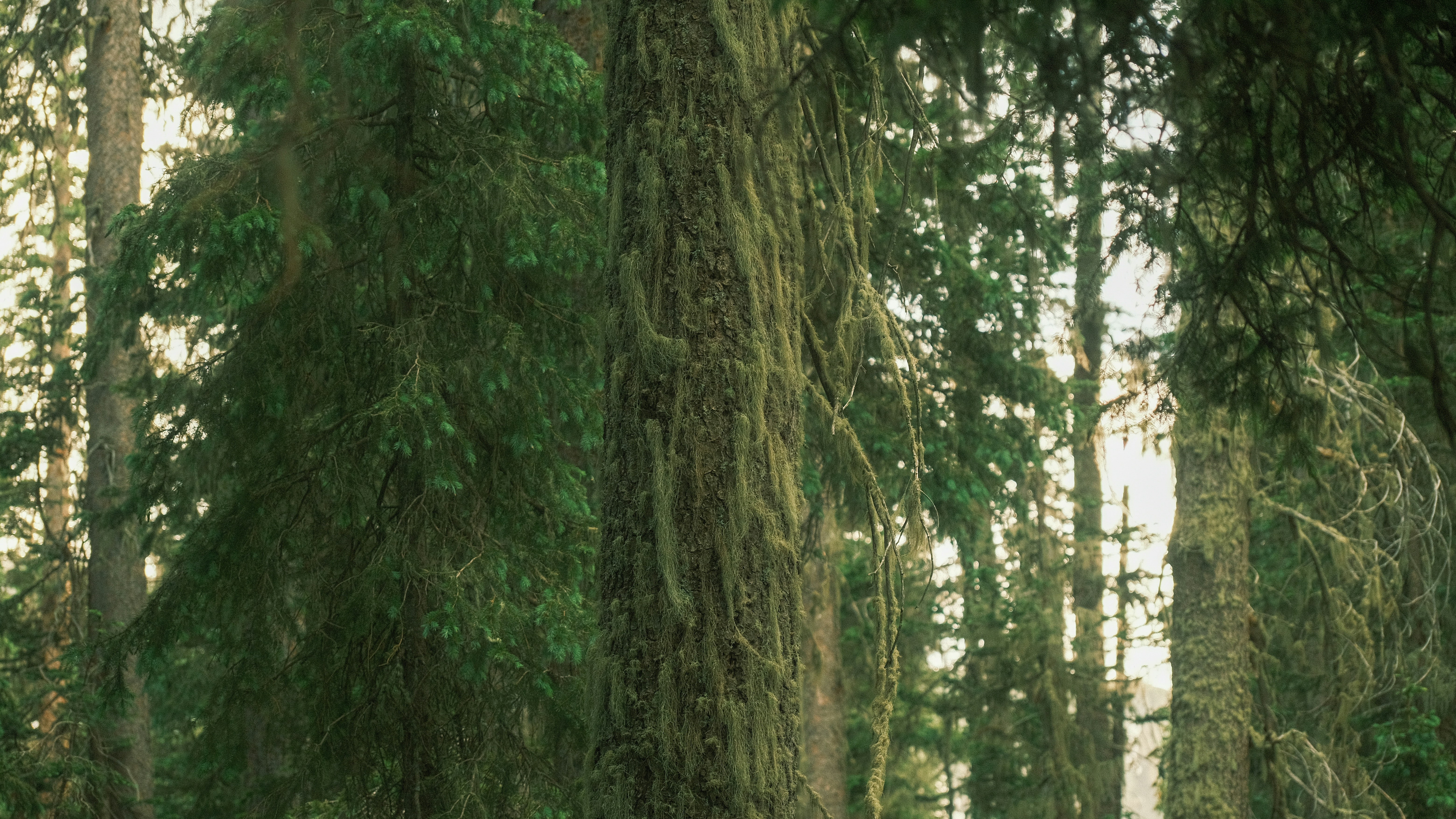 Photo by maxmeadowcroft