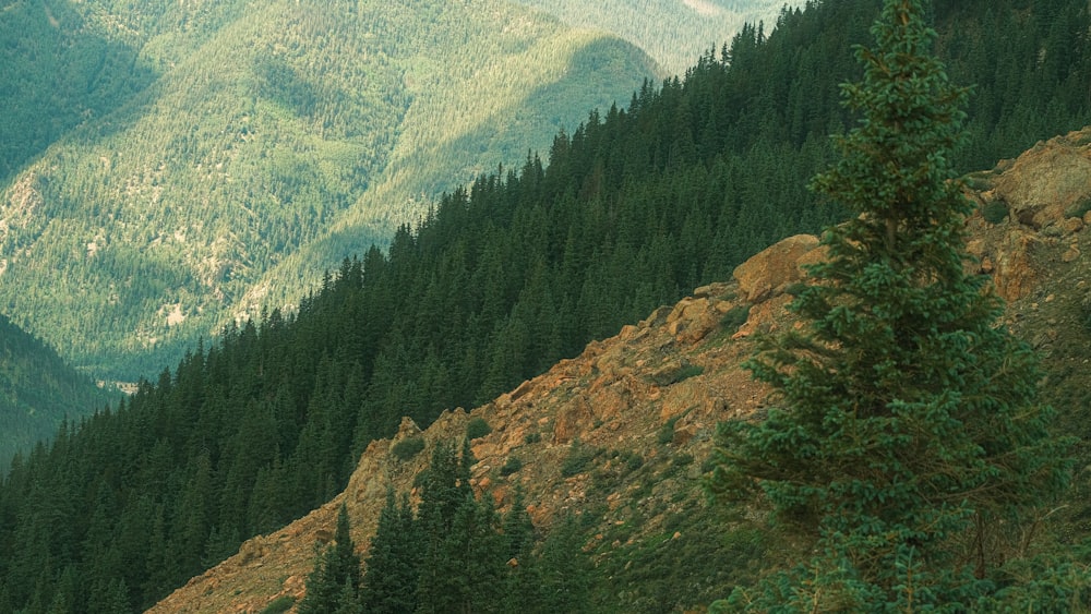 a view of a mountain range with trees and mountains in the background