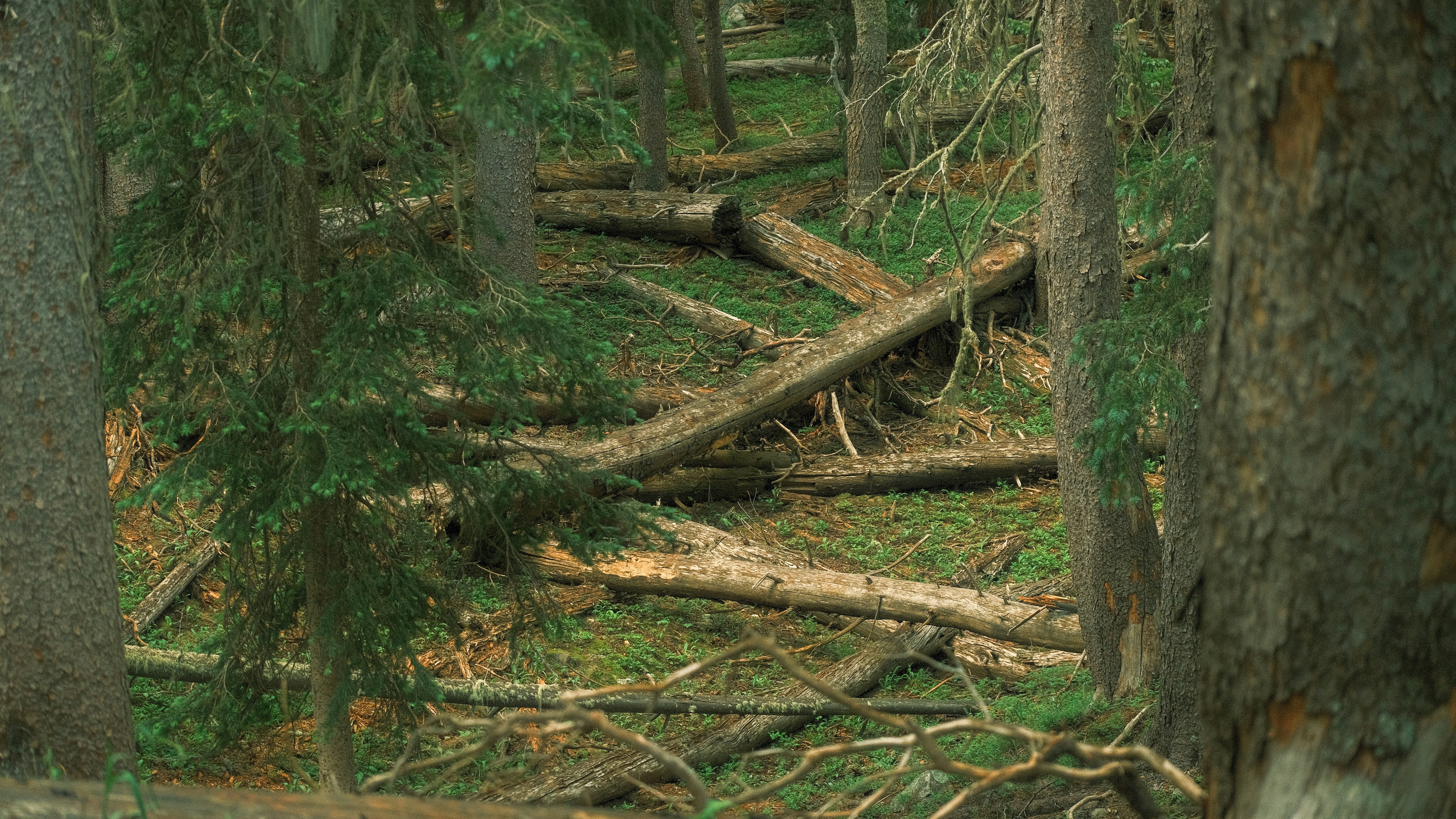 Photo by maxmeadowcroft