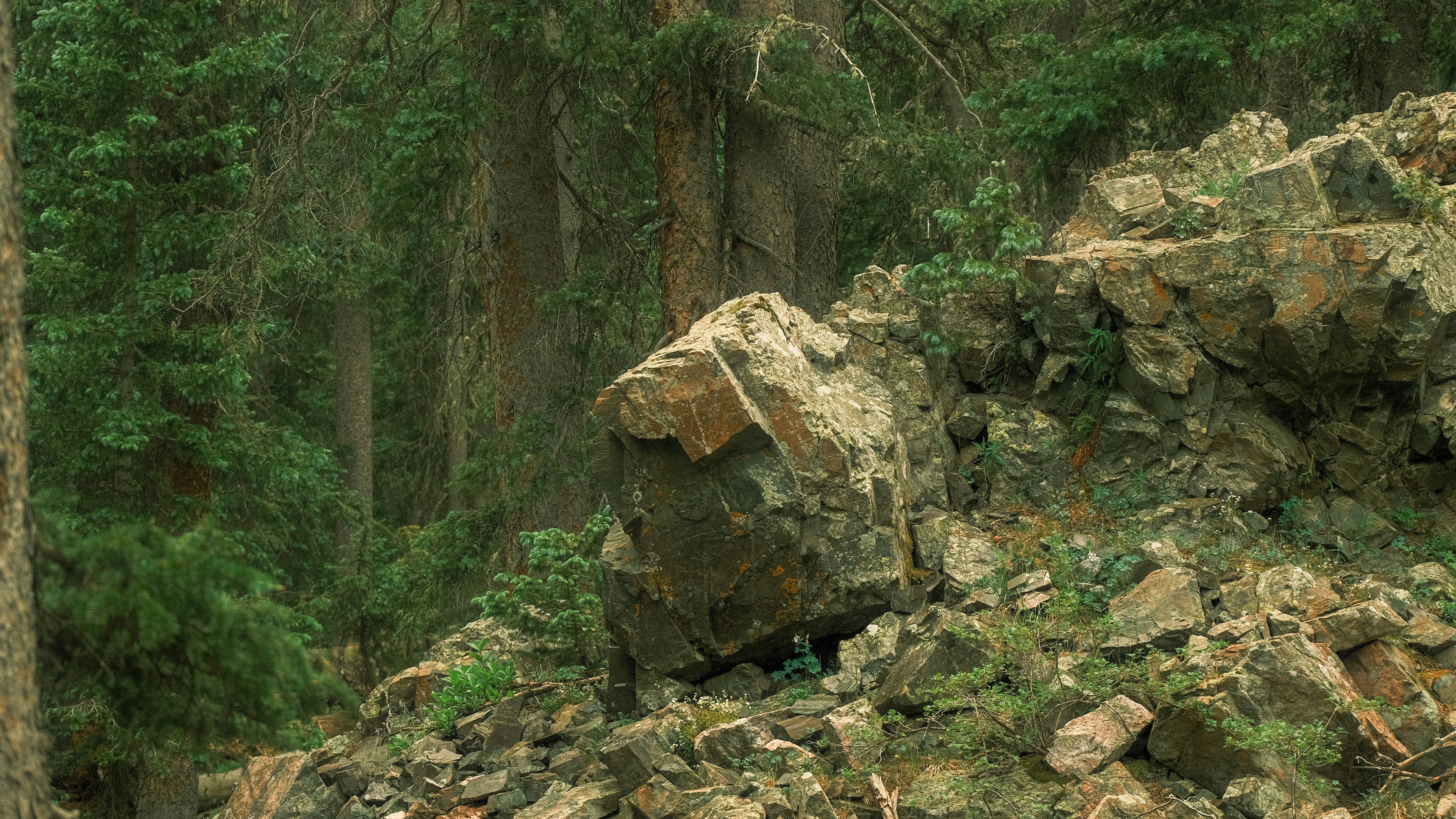 a large rock formation in the middle of a forest