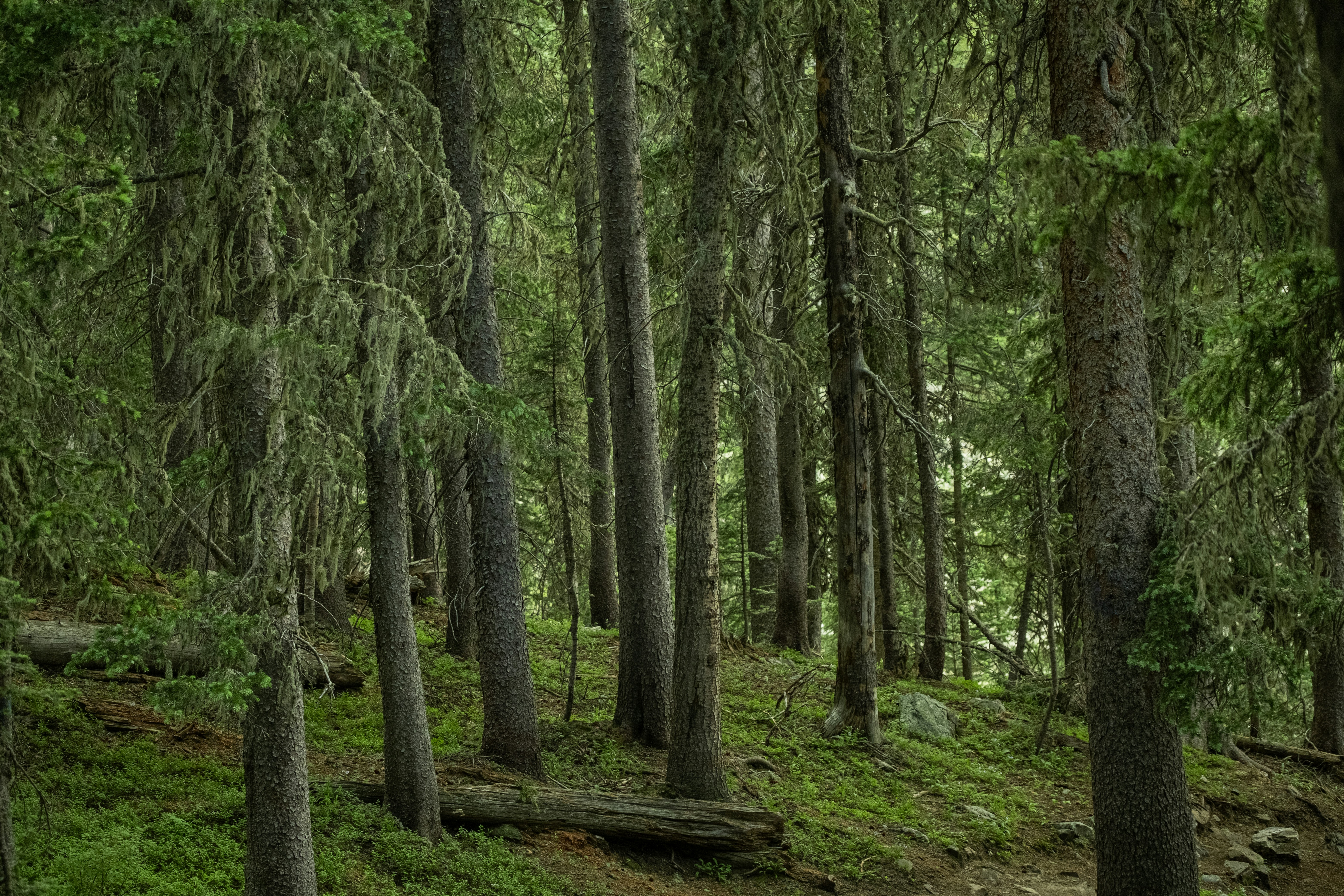 Photo by maxmeadowcroft