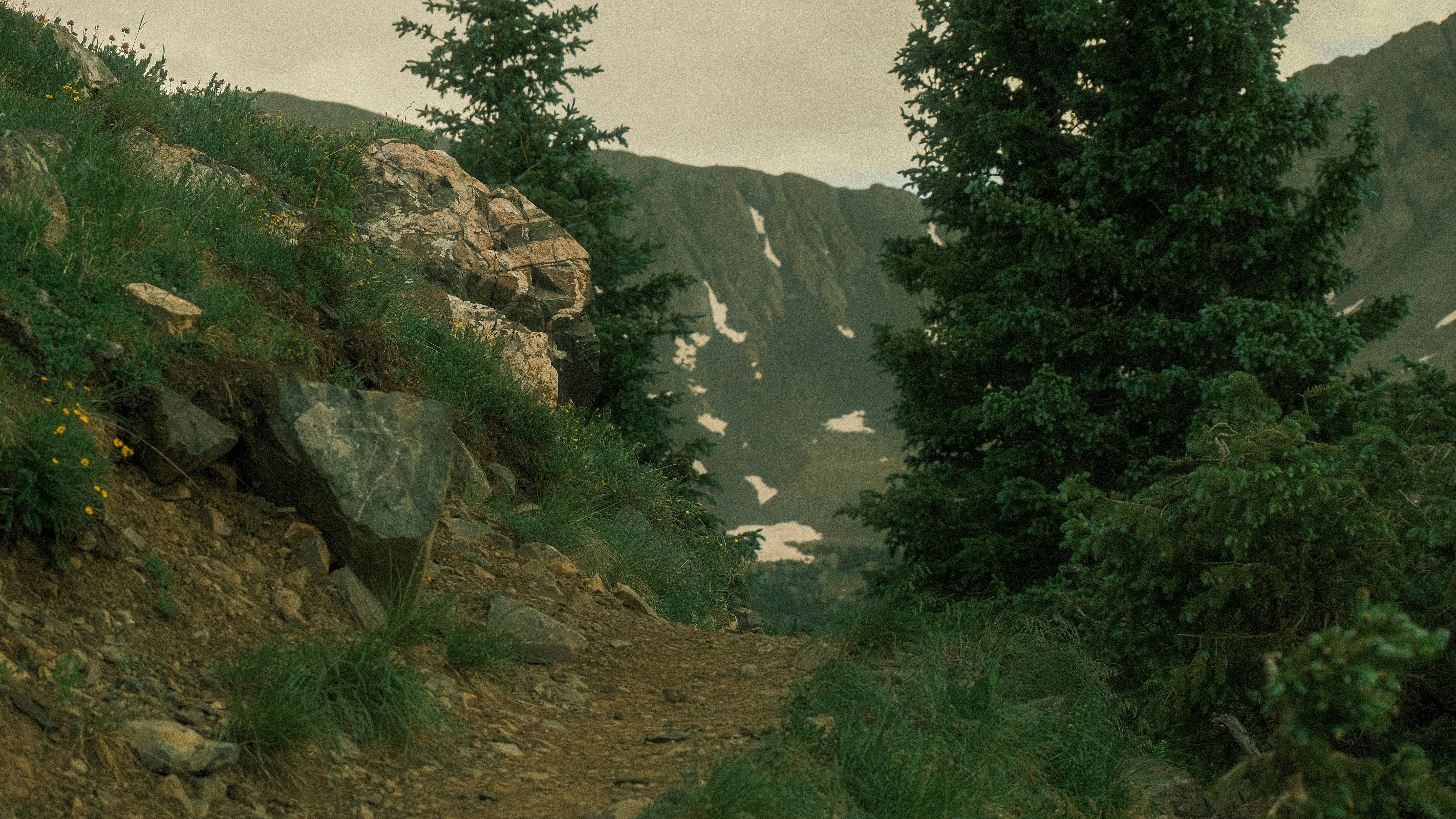 Photo by maxmeadowcroft