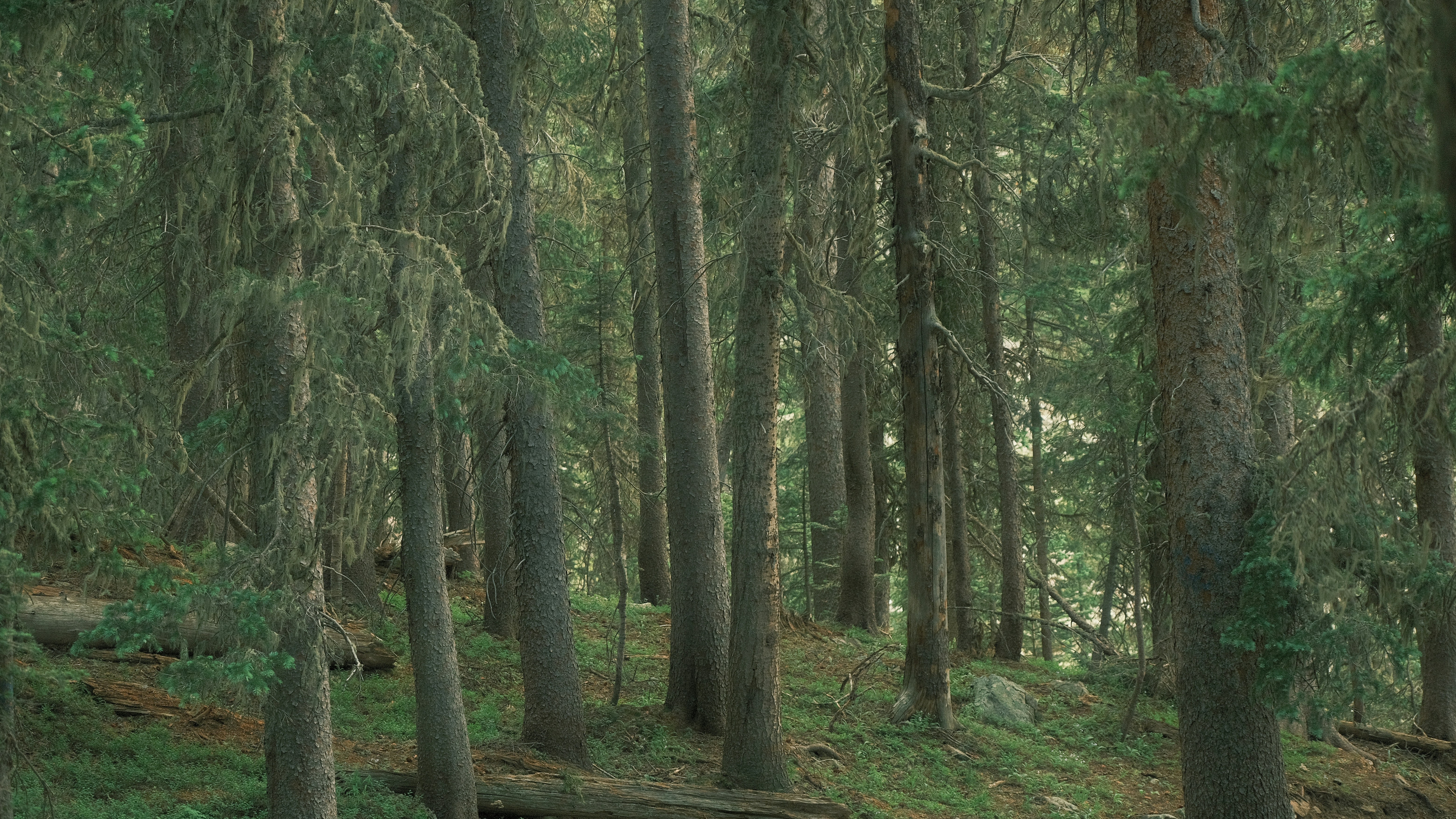 Photo by maxmeadowcroft