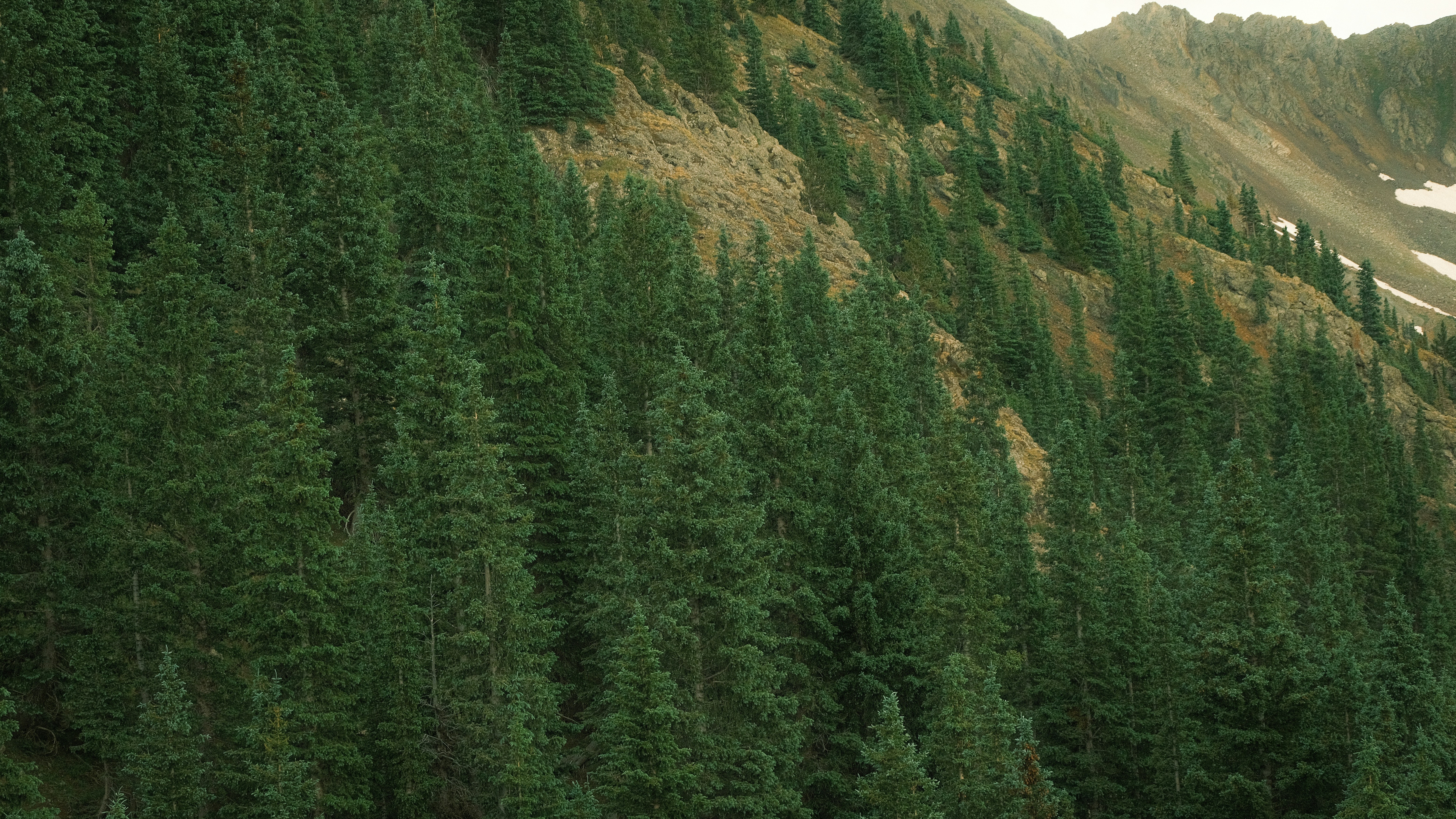 Photo by maxmeadowcroft