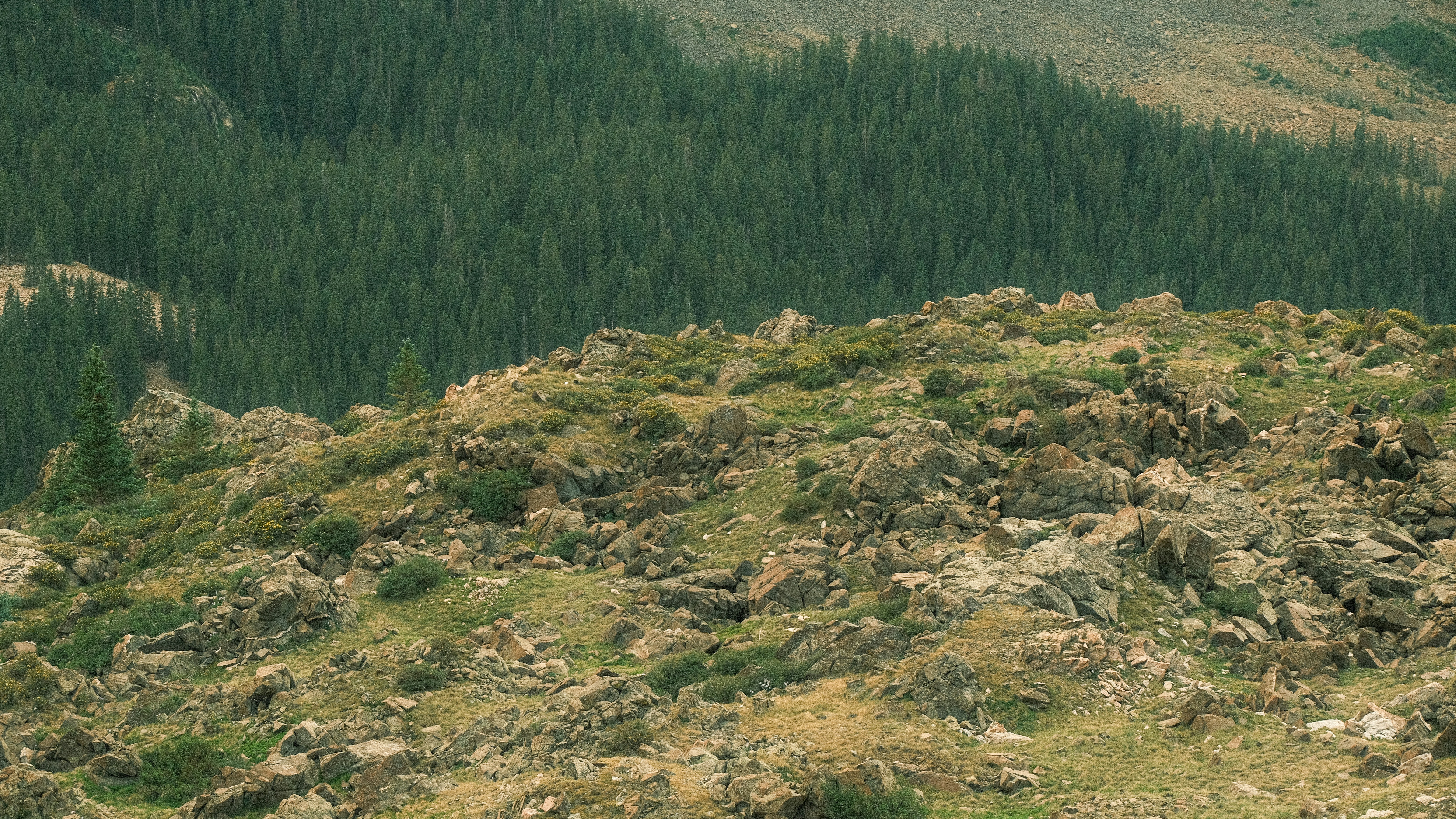 Photo by maxmeadowcroft