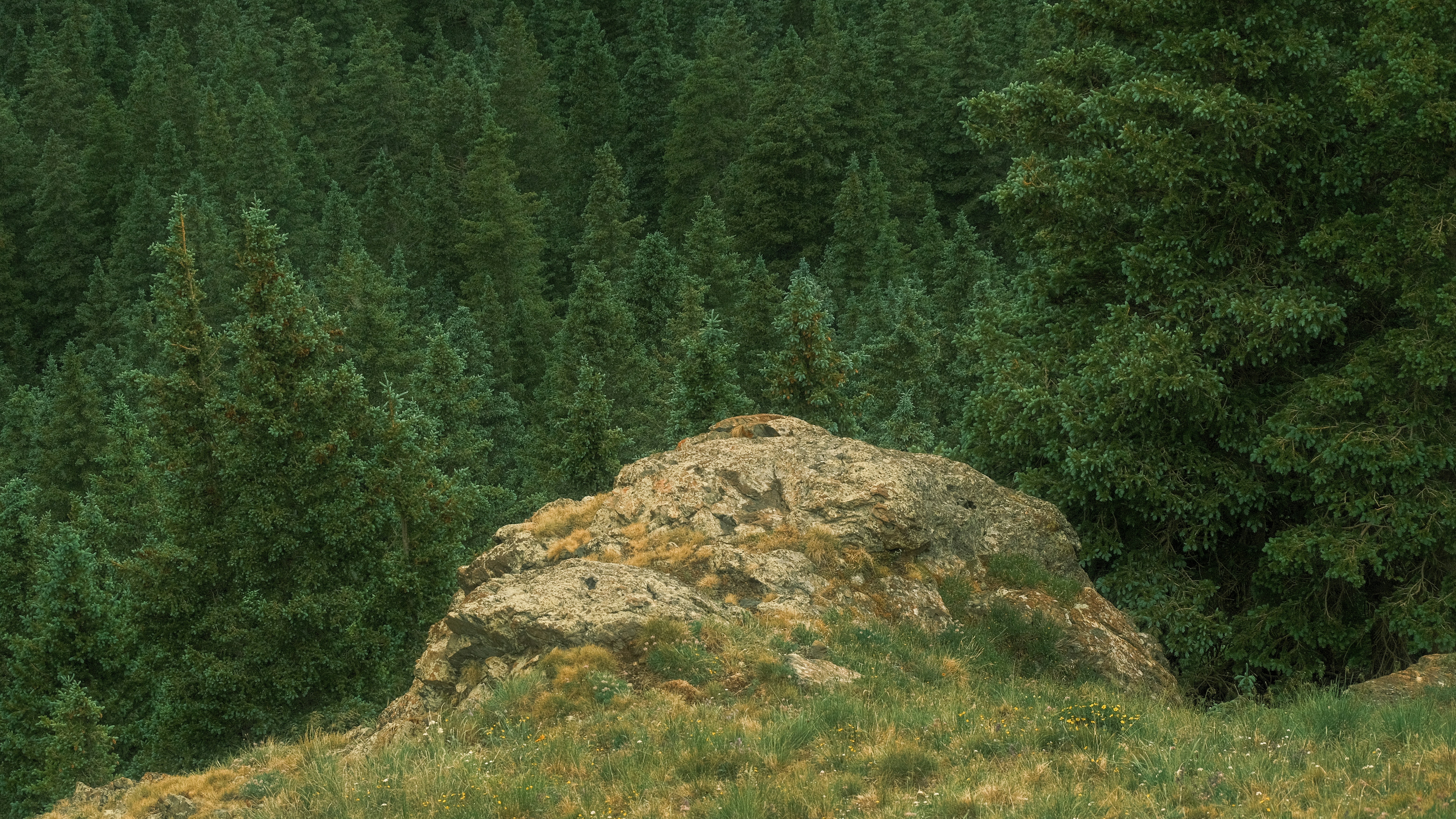 Goldhill Bistro Menu