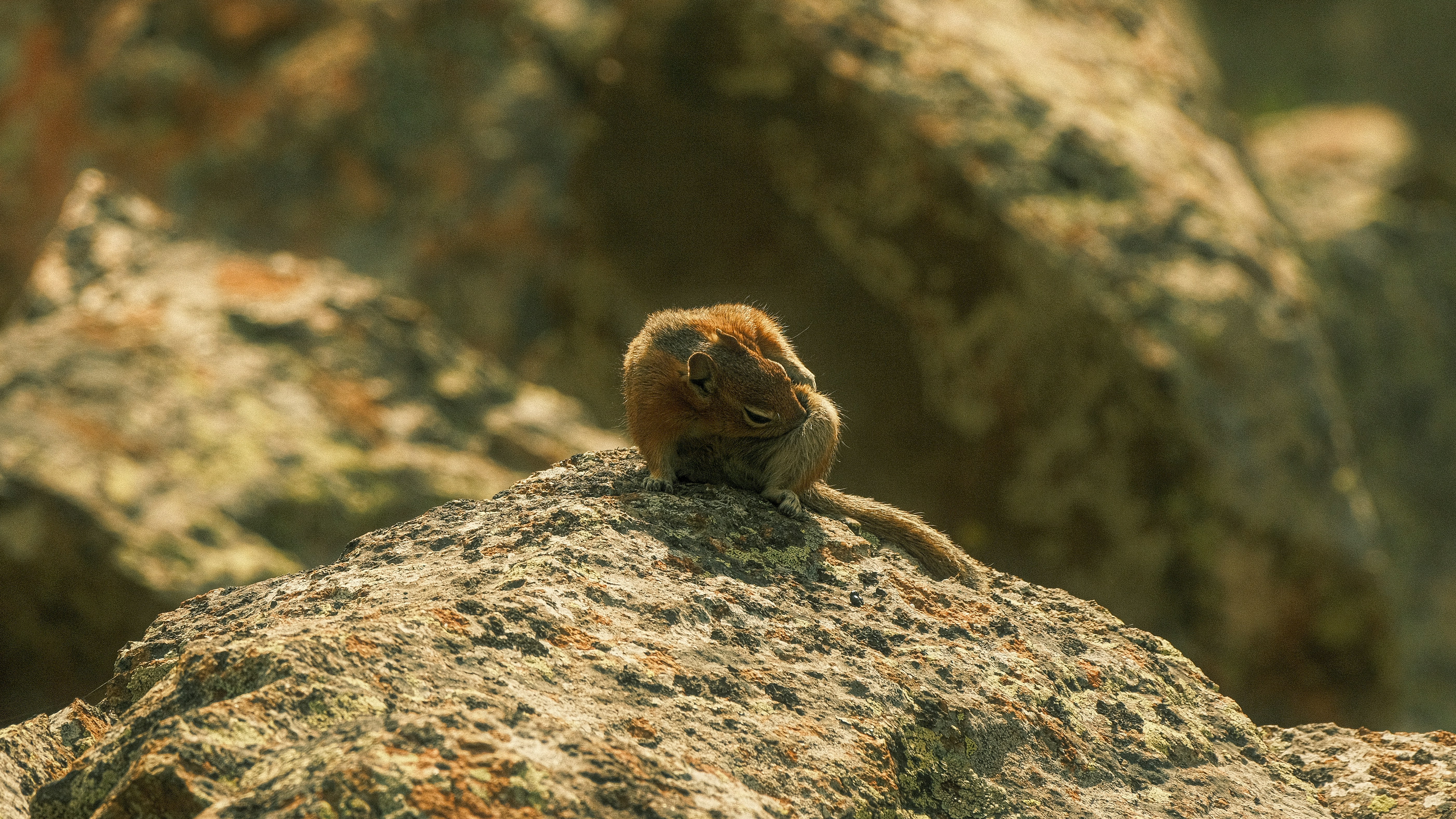 Photo by maxmeadowcroft