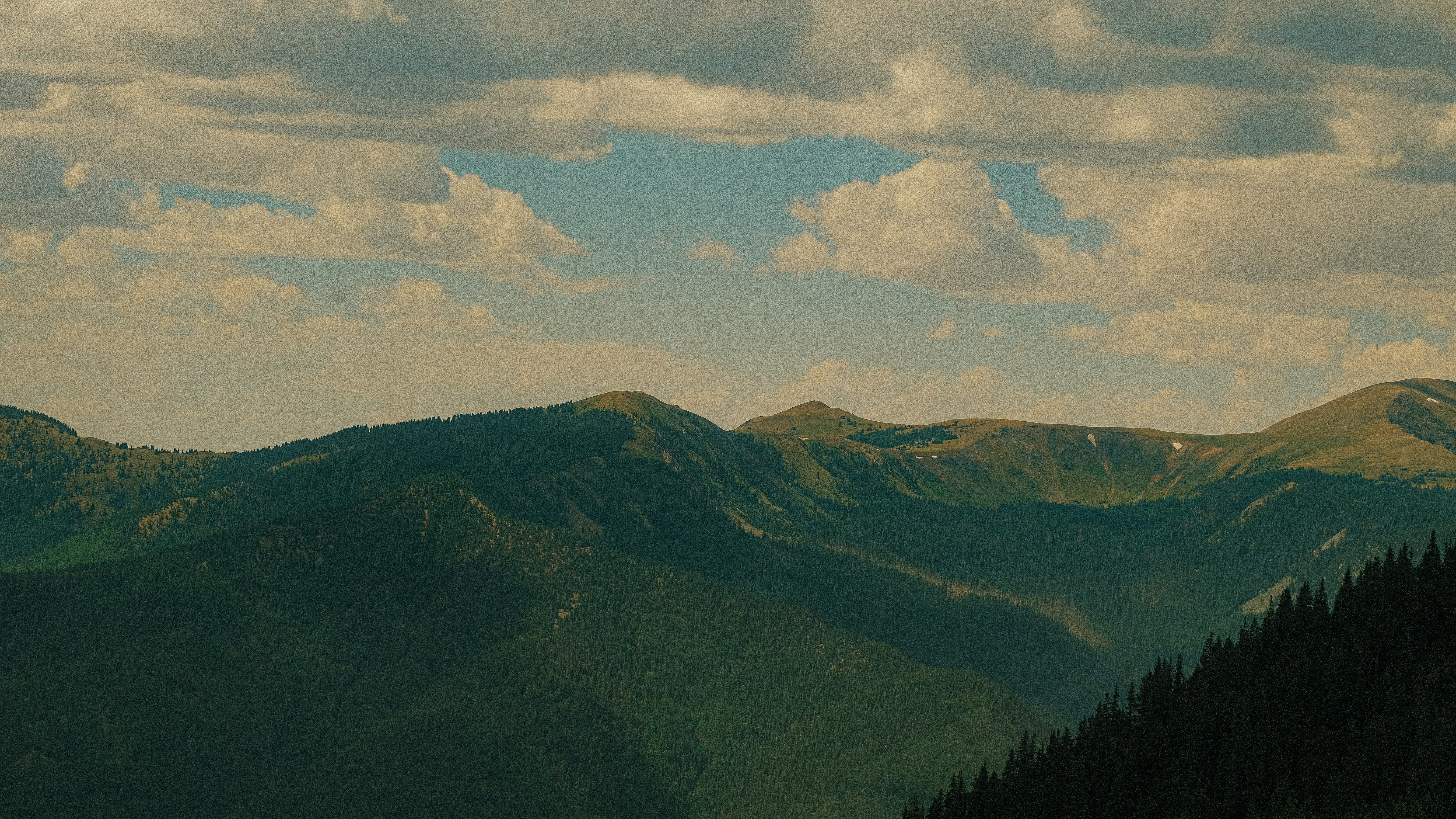 Photo by maxmeadowcroft