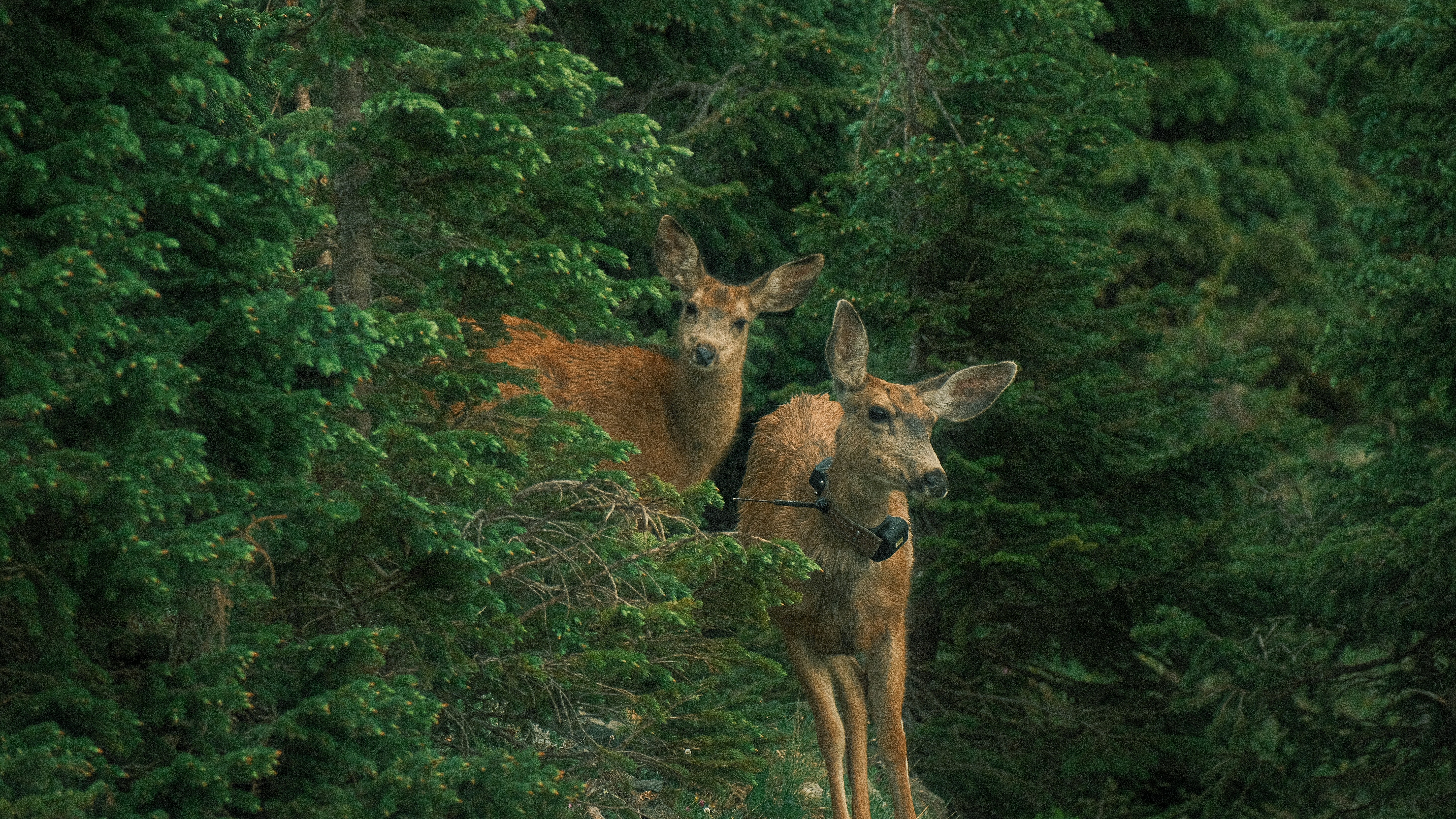 Photo by maxmeadowcroft