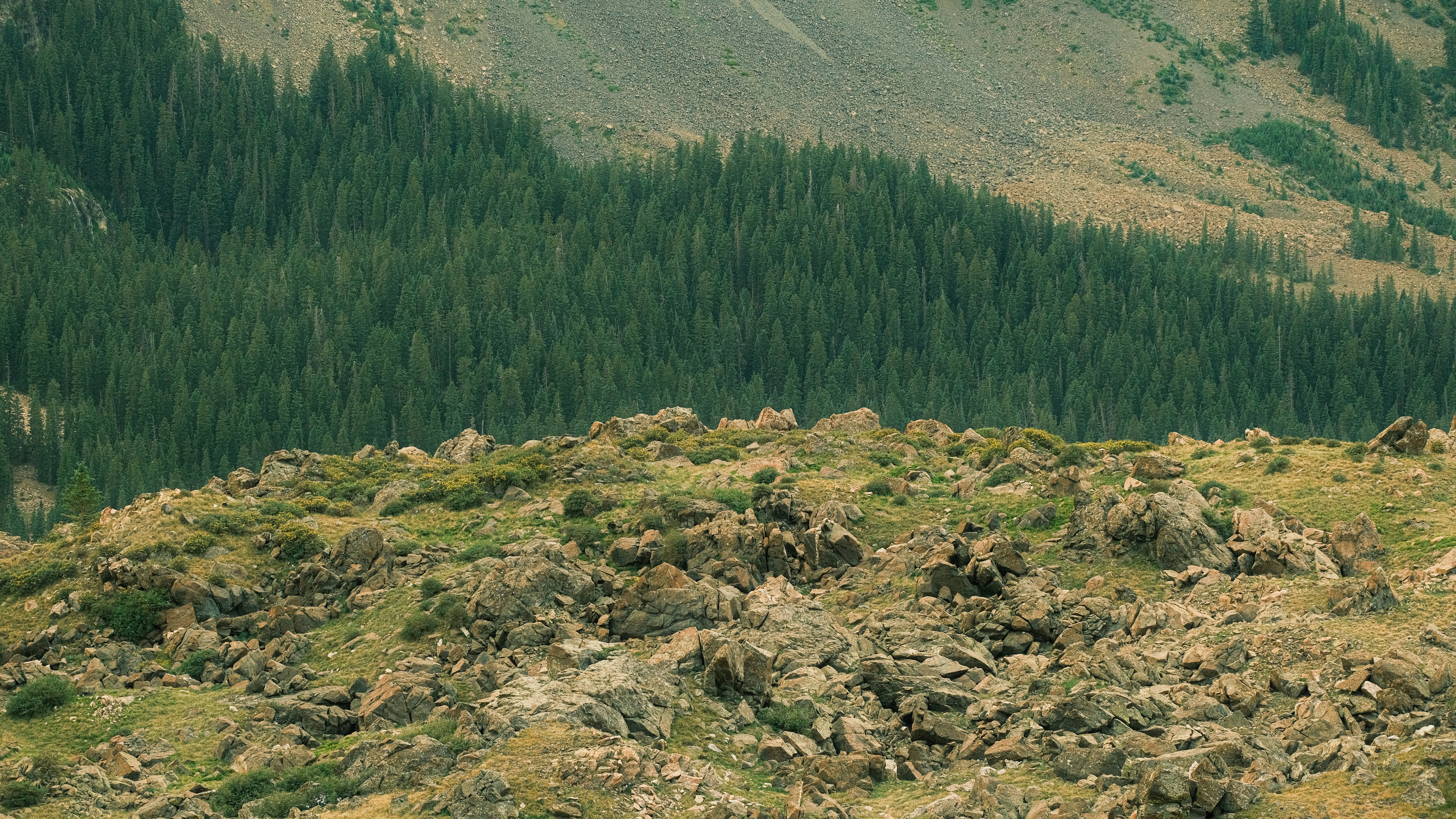 Photo by maxmeadowcroft