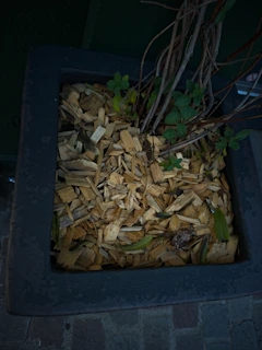 A square planter filled with wood chips and a few small green plants emerging. The planter is dark in color, and the background is a stone pavement.