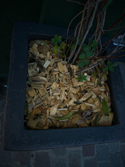 A square planter filled with wood chips and a few small green plants emerging. The planter is dark in color, and the background is a stone pavement.
