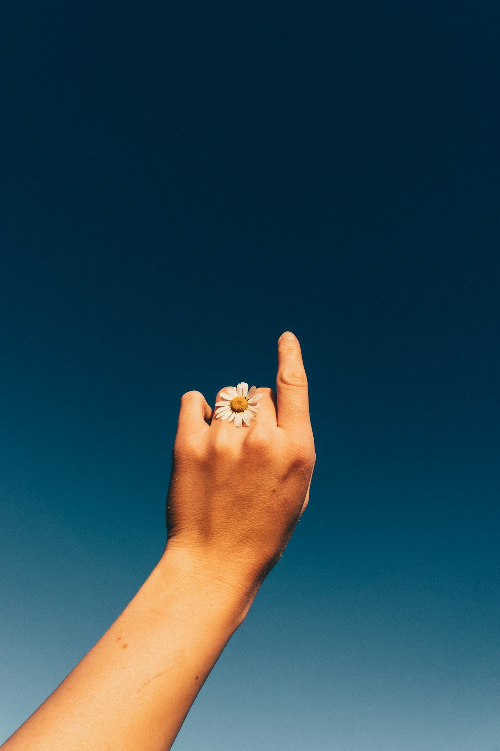 a person's hand holding a flower in the air