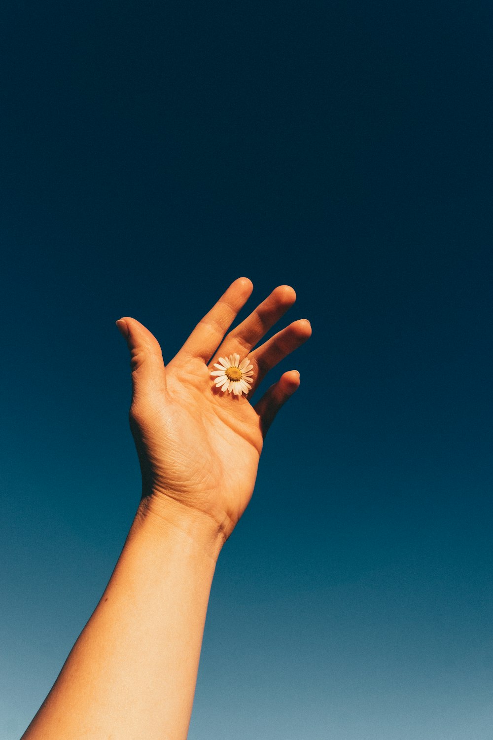 a person's hand reaching up into the sky