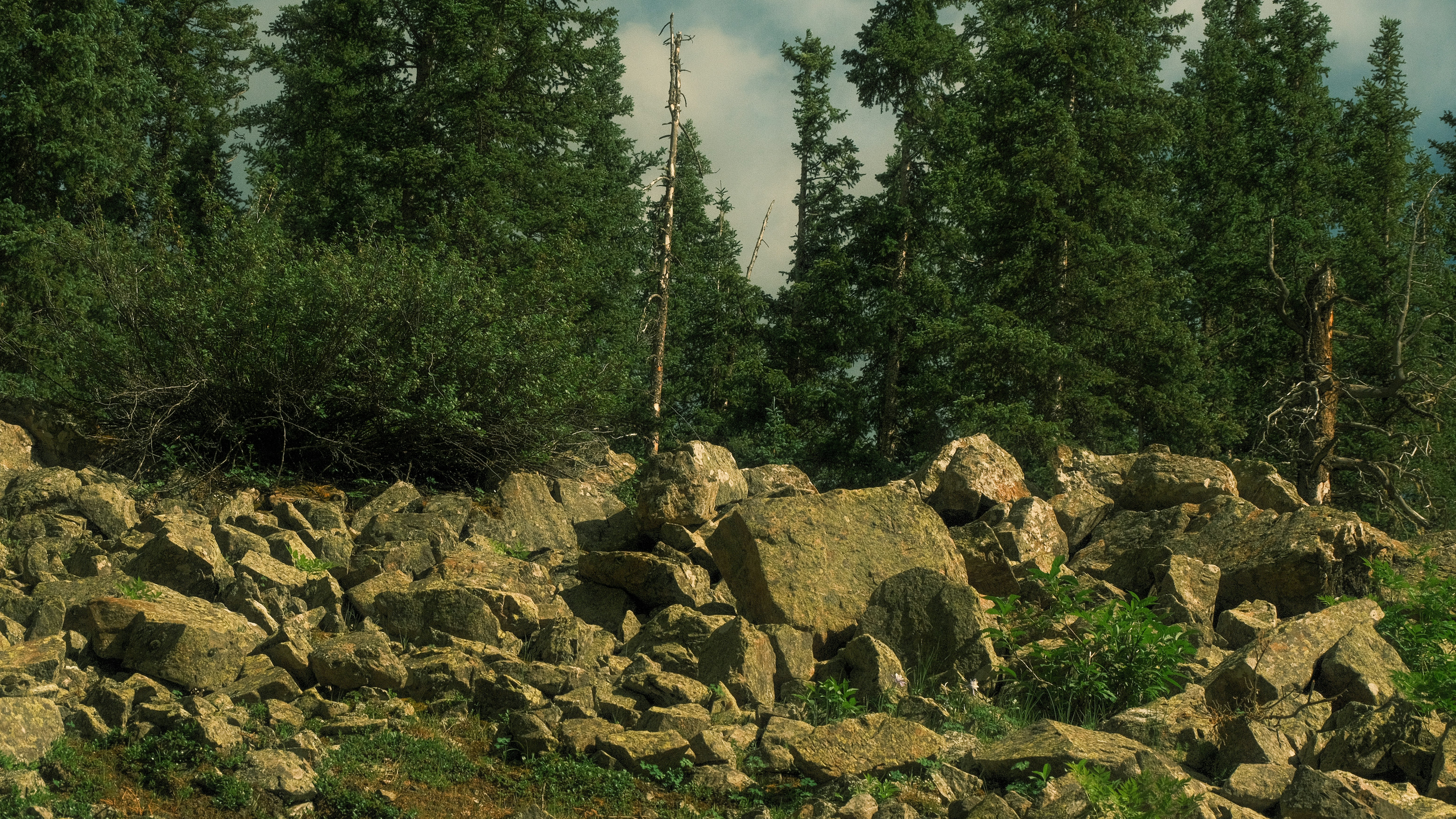 Photo by maxmeadowcroft