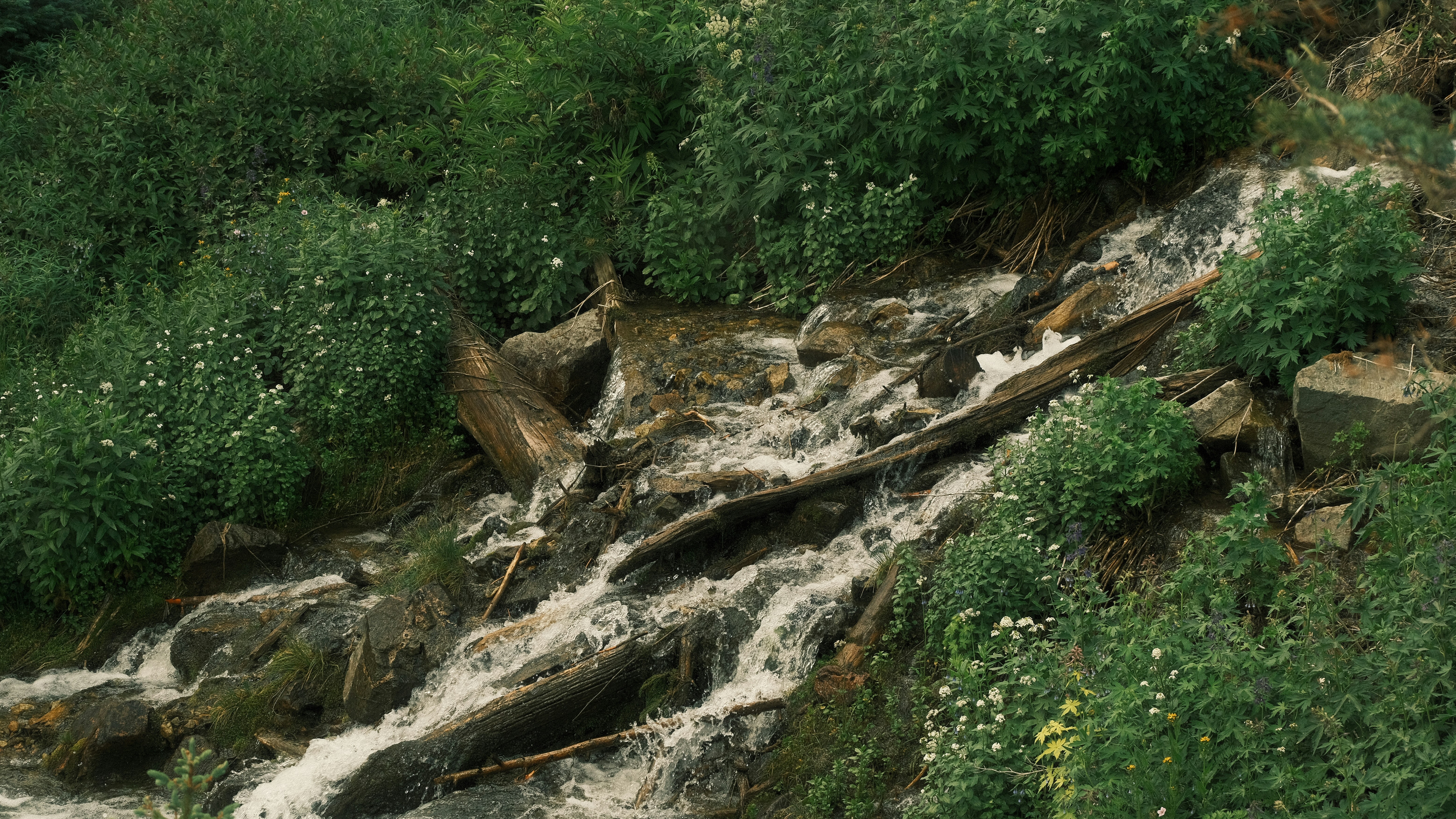 Photo by maxmeadowcroft