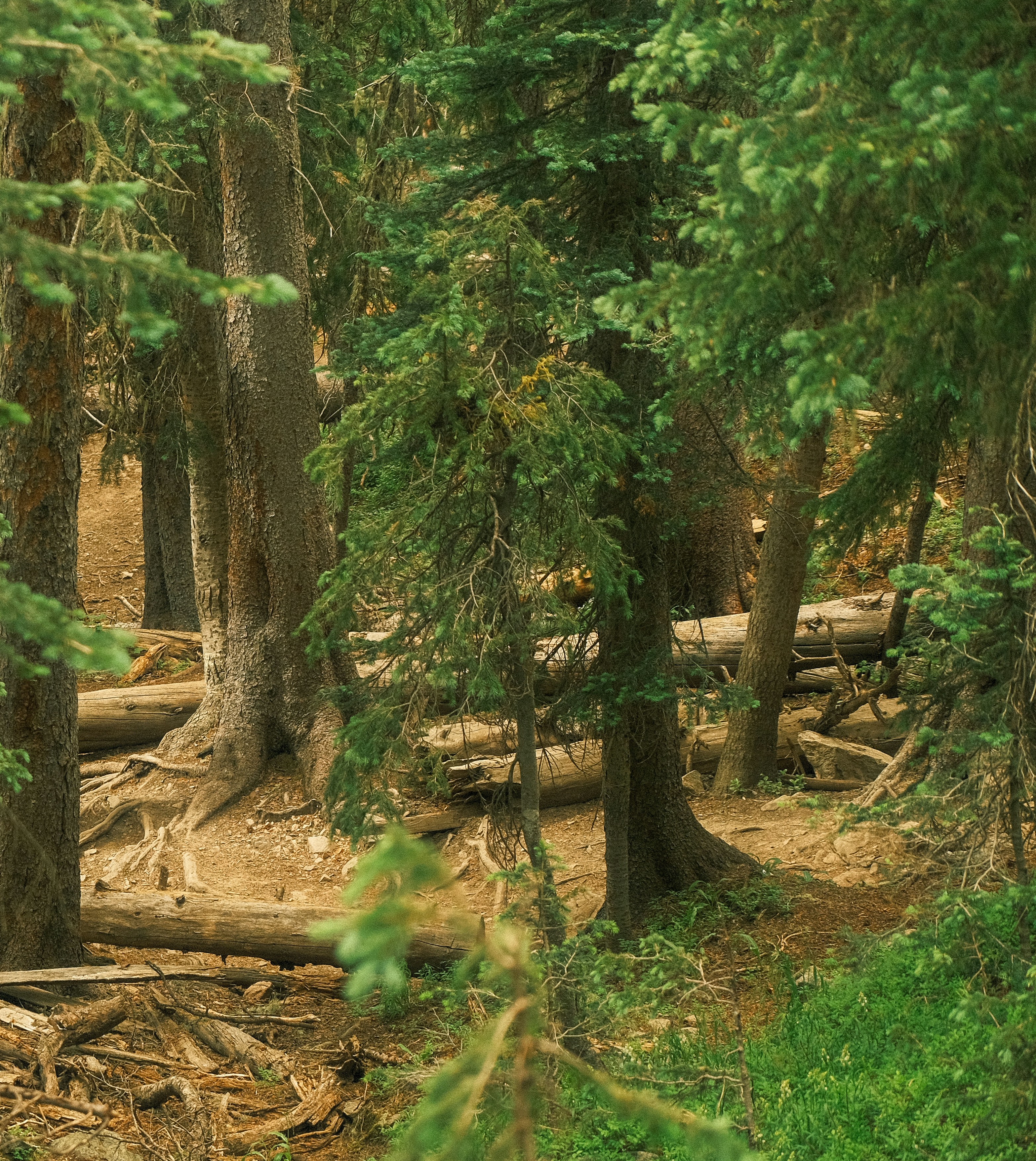 Photo by maxmeadowcroft