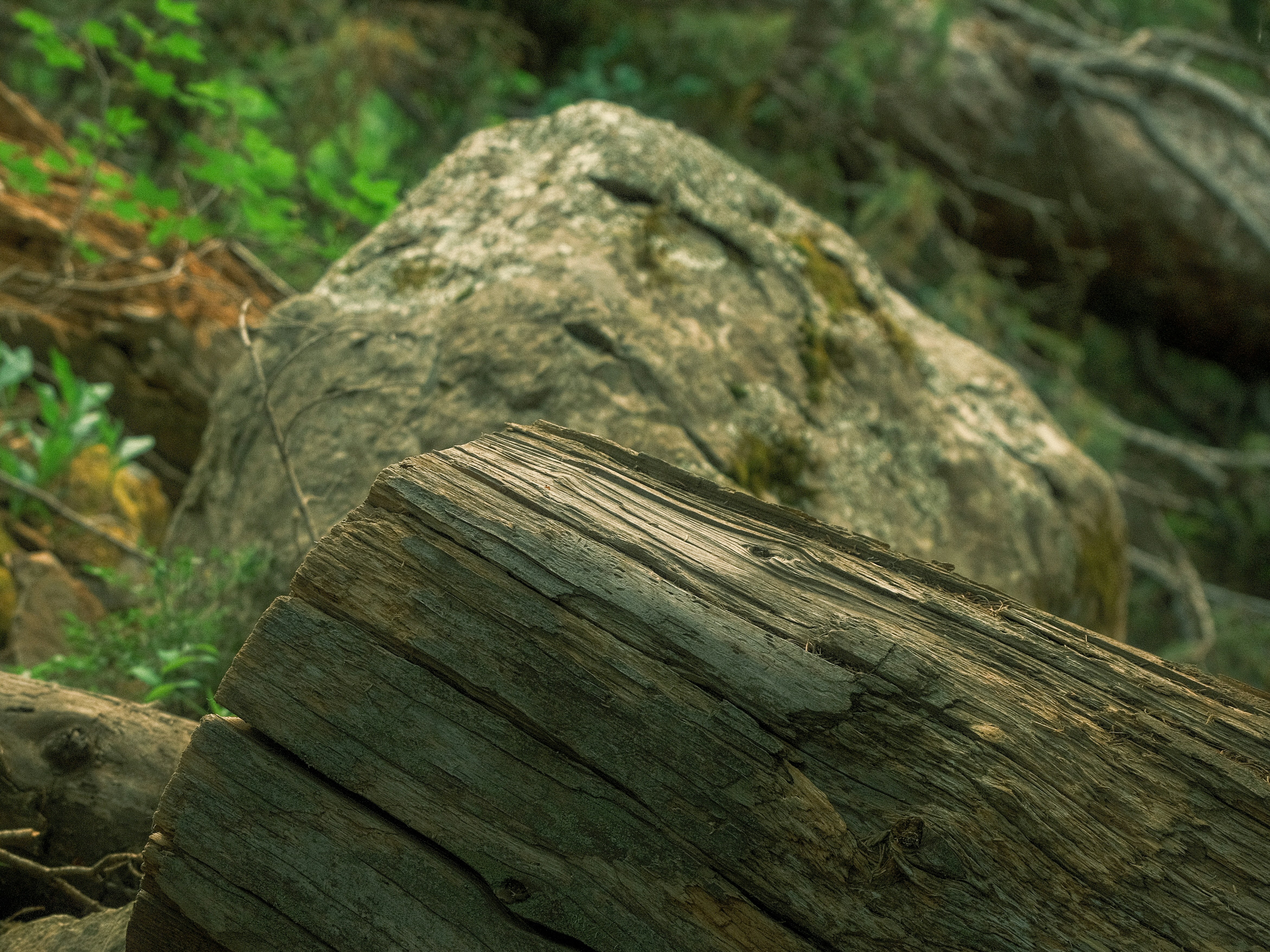 Photo by maxmeadowcroft