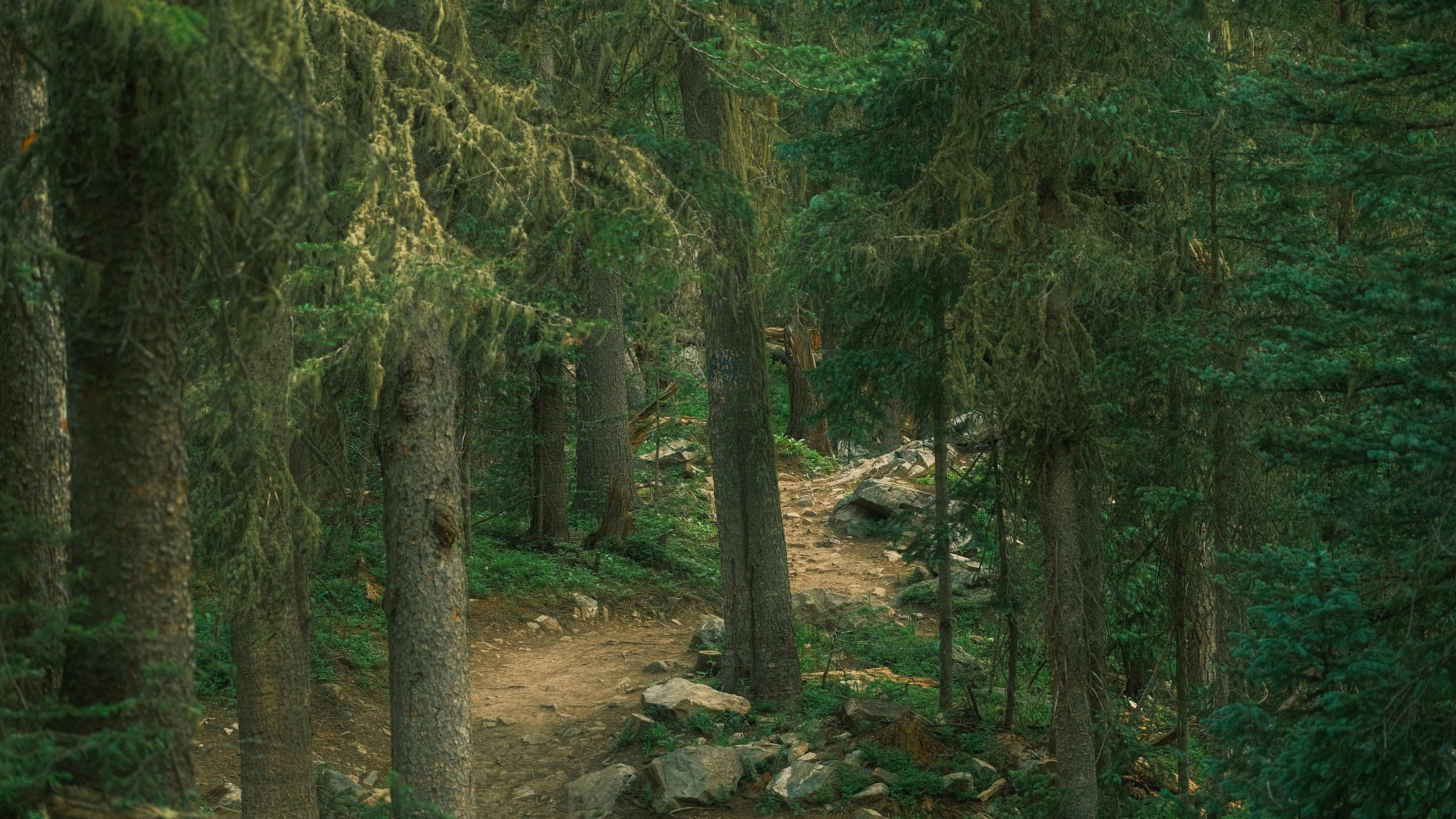 Photo by maxmeadowcroft