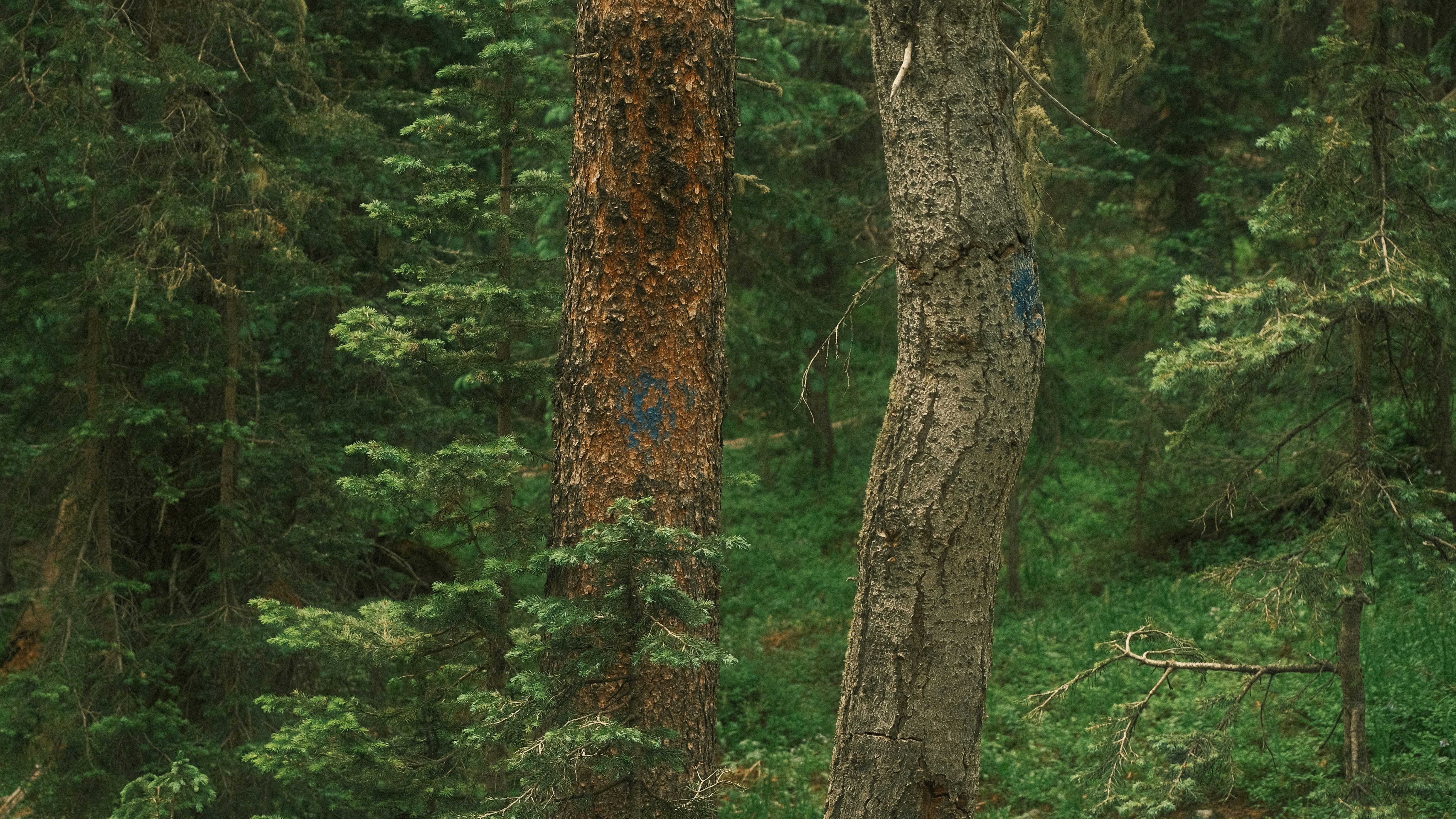 Photo by maxmeadowcroft