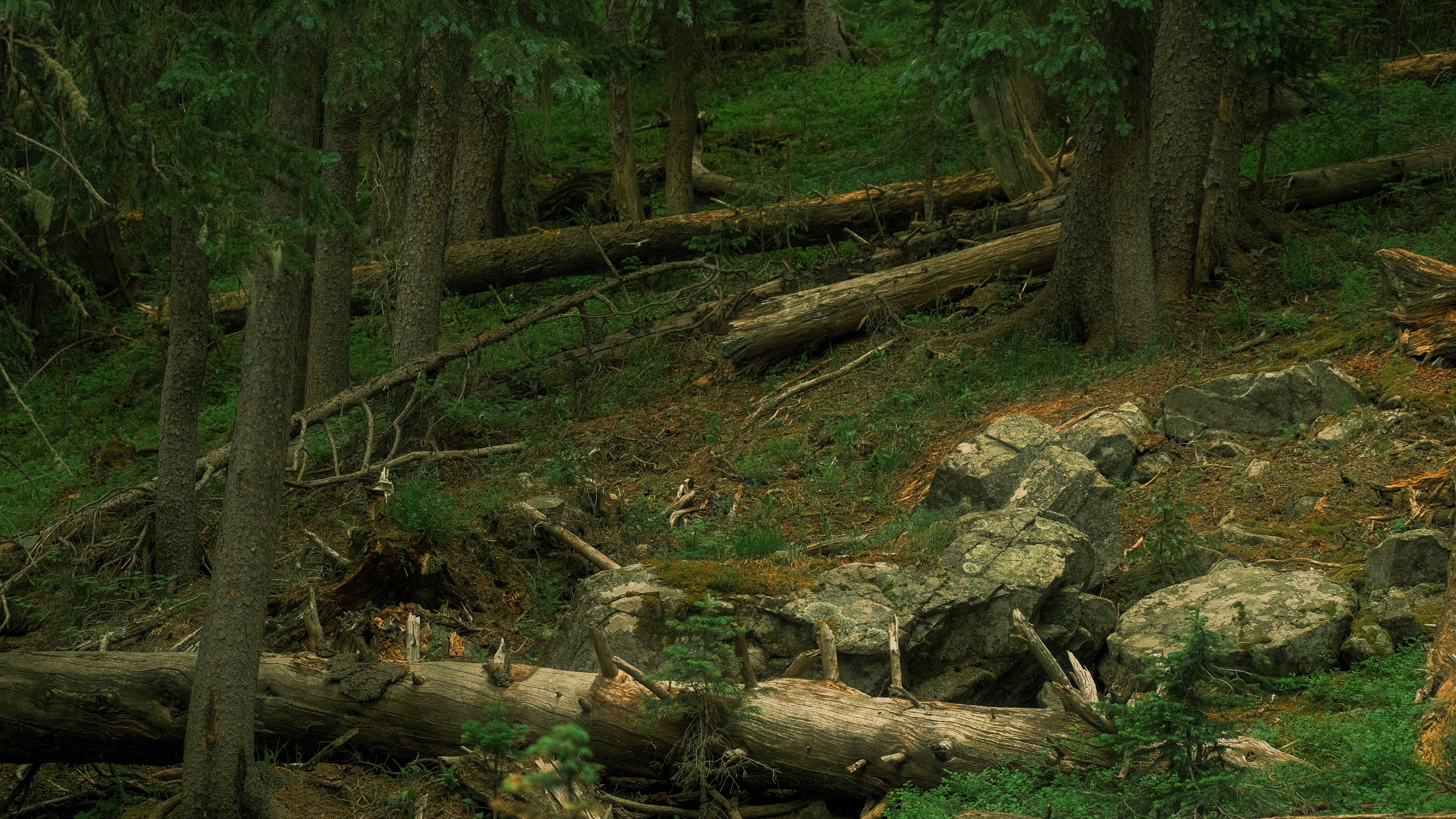 Photo by maxmeadowcroft