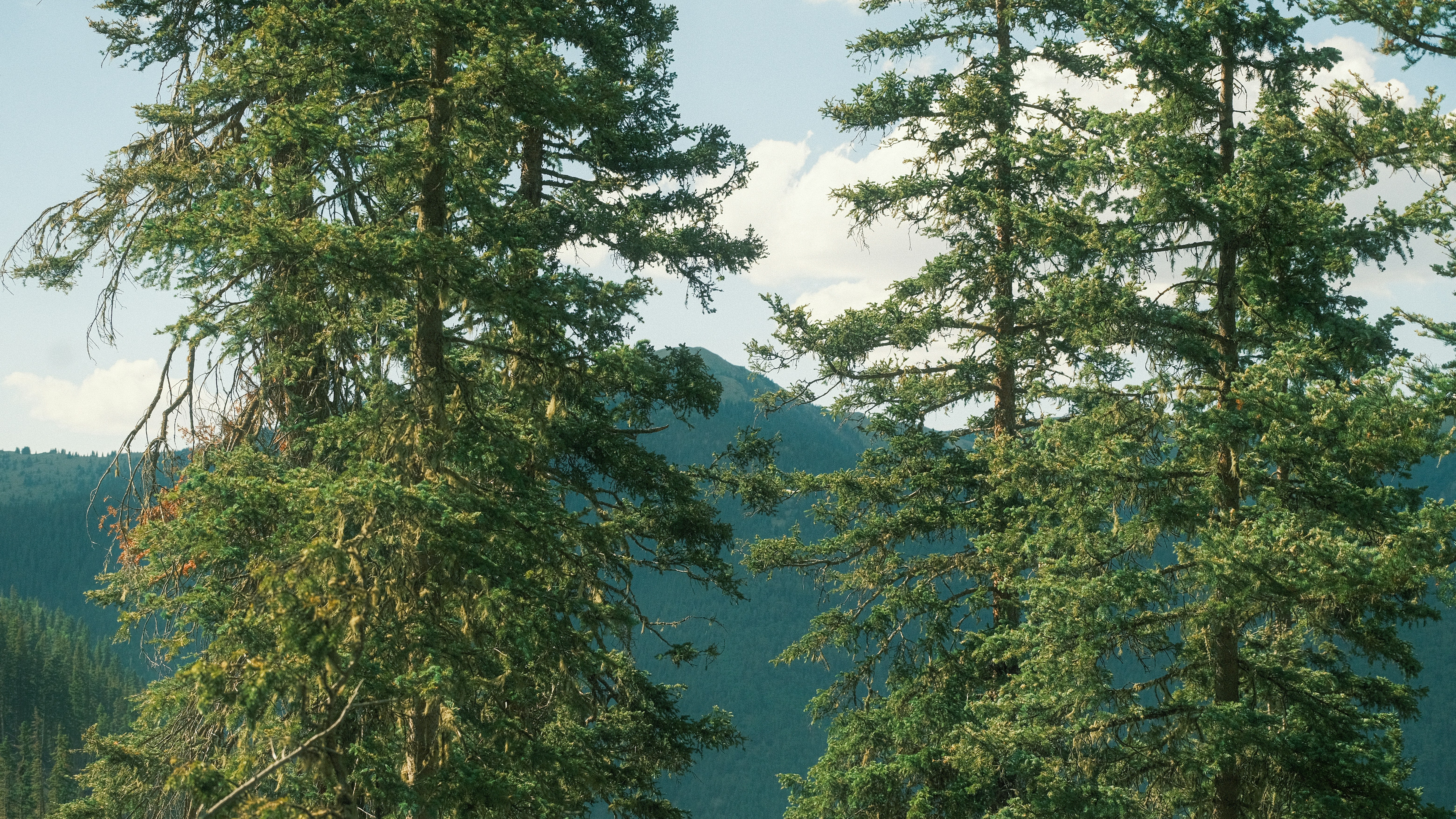 Photo by maxmeadowcroft