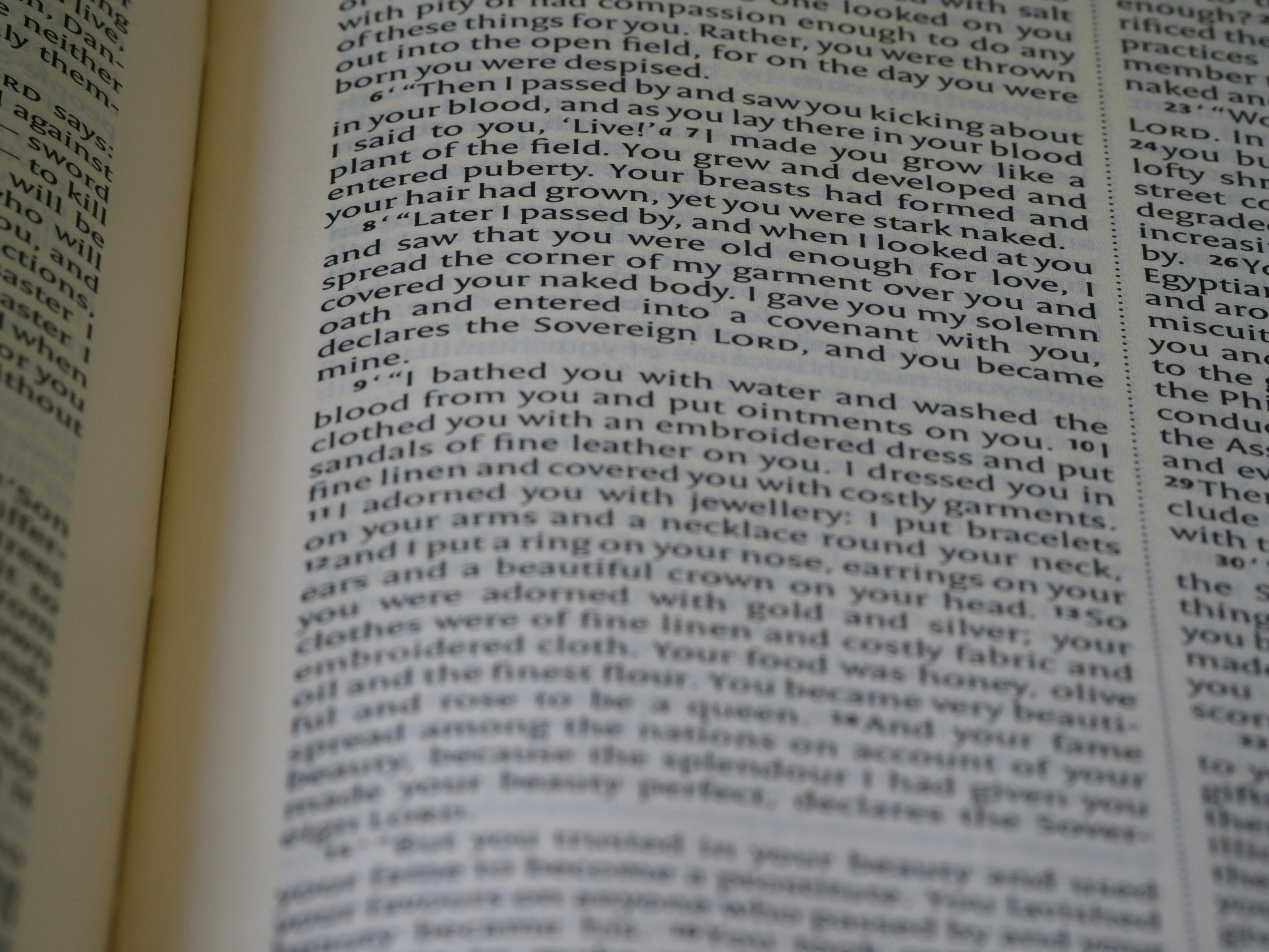 Photo by brett_jordan