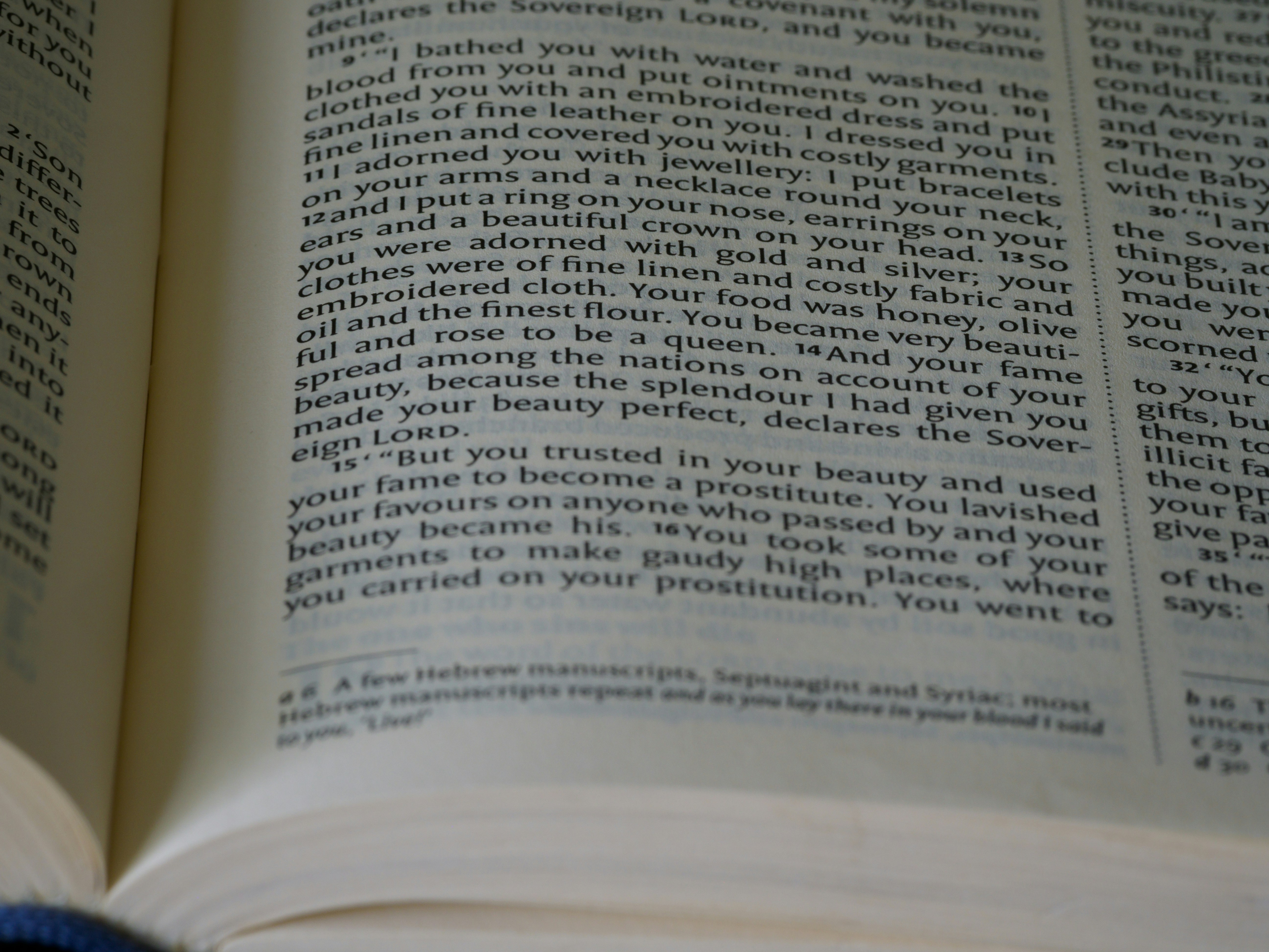 Photo by brett_jordan