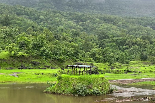 A lush, green landscape featuring dense forests set against a backdrop of misty hills. A small structure with a tin roof supported by wooden posts stands on a grassy mound surrounded by a calm, narrow body of water.