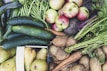 An abundant assortment of fresh vegetables and fruits including cucumbers, green beans, apples, carrots, potatoes, and pears. The produce is vibrant and appears freshly harvested, with earthy tones and organic textures.