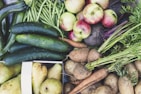 An abundant assortment of fresh vegetables and fruits including cucumbers, green beans, apples, carrots, potatoes, and pears. The produce is vibrant and appears freshly harvested, with earthy tones and organic textures.