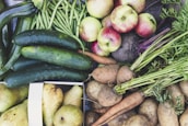 An abundant assortment of fresh vegetables and fruits including cucumbers, green beans, apples, carrots, potatoes, and pears. The produce is vibrant and appears freshly harvested, with earthy tones and organic textures.