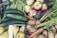 An abundant assortment of fresh vegetables and fruits including cucumbers, green beans, apples, carrots, potatoes, and pears. The produce is vibrant and appears freshly harvested, with earthy tones and organic textures.