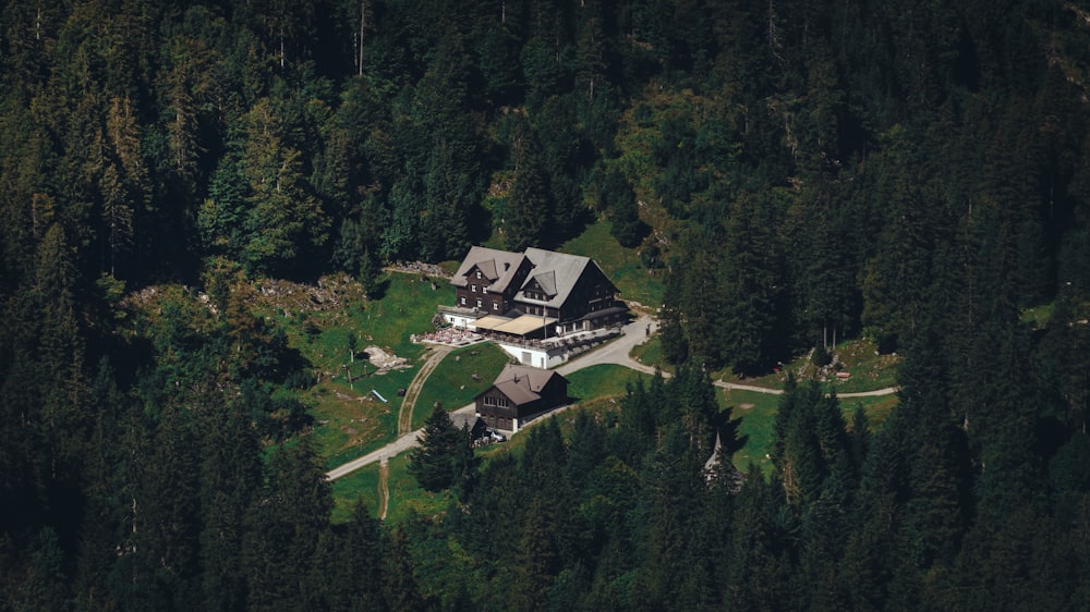 una vista aerea di una casa circondata da alberi