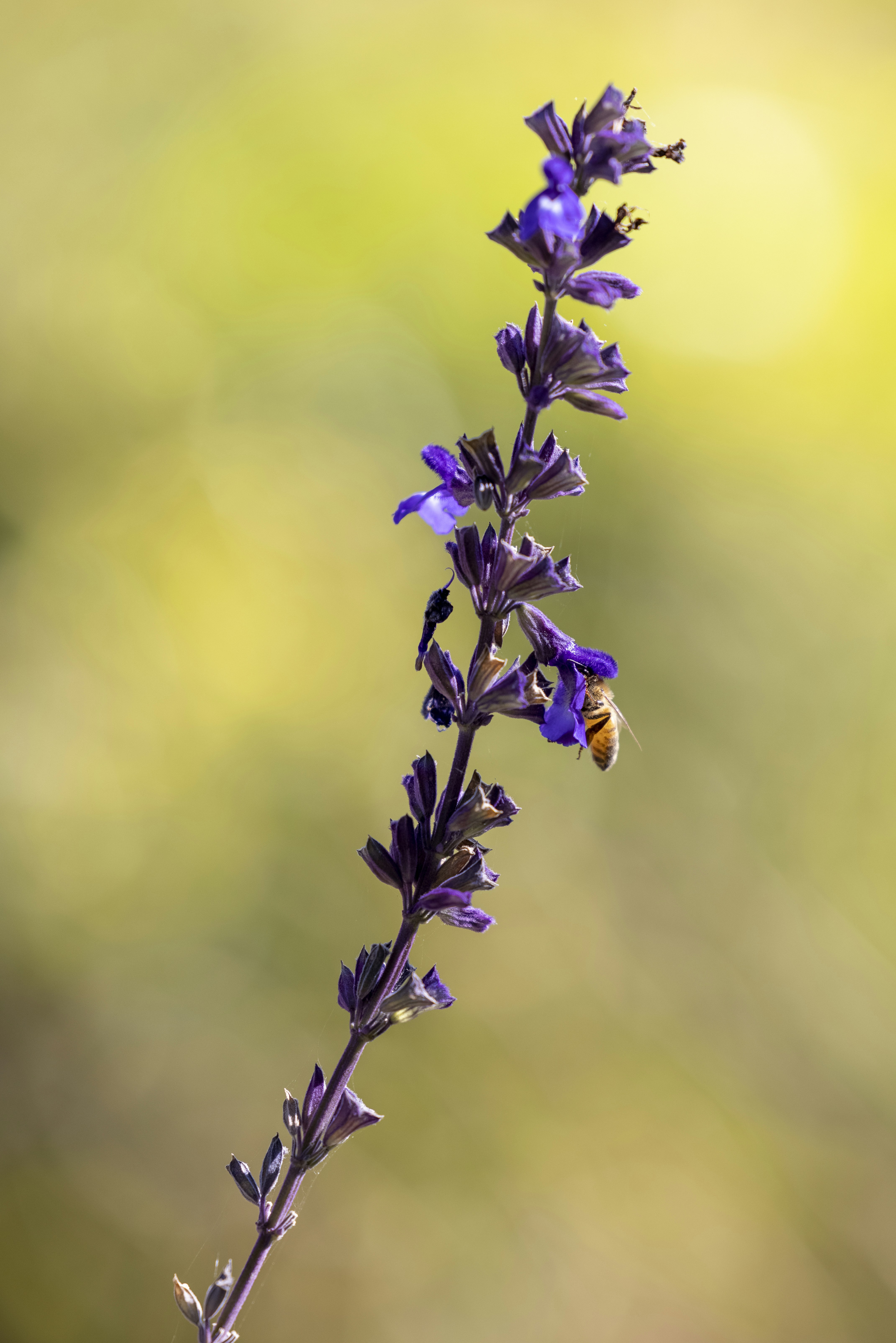 Photo by stephenmabbs