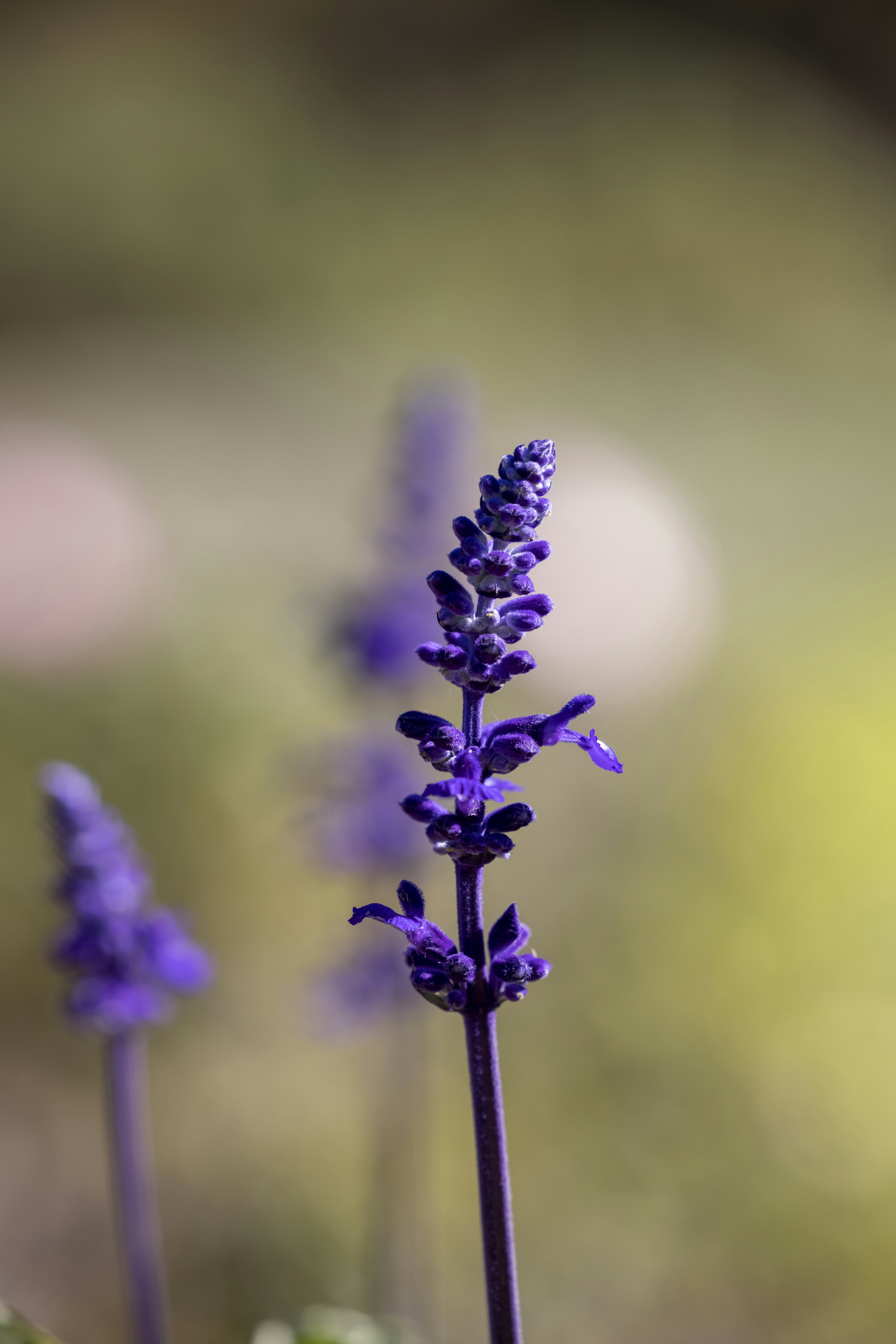 Photo by stephenmabbs