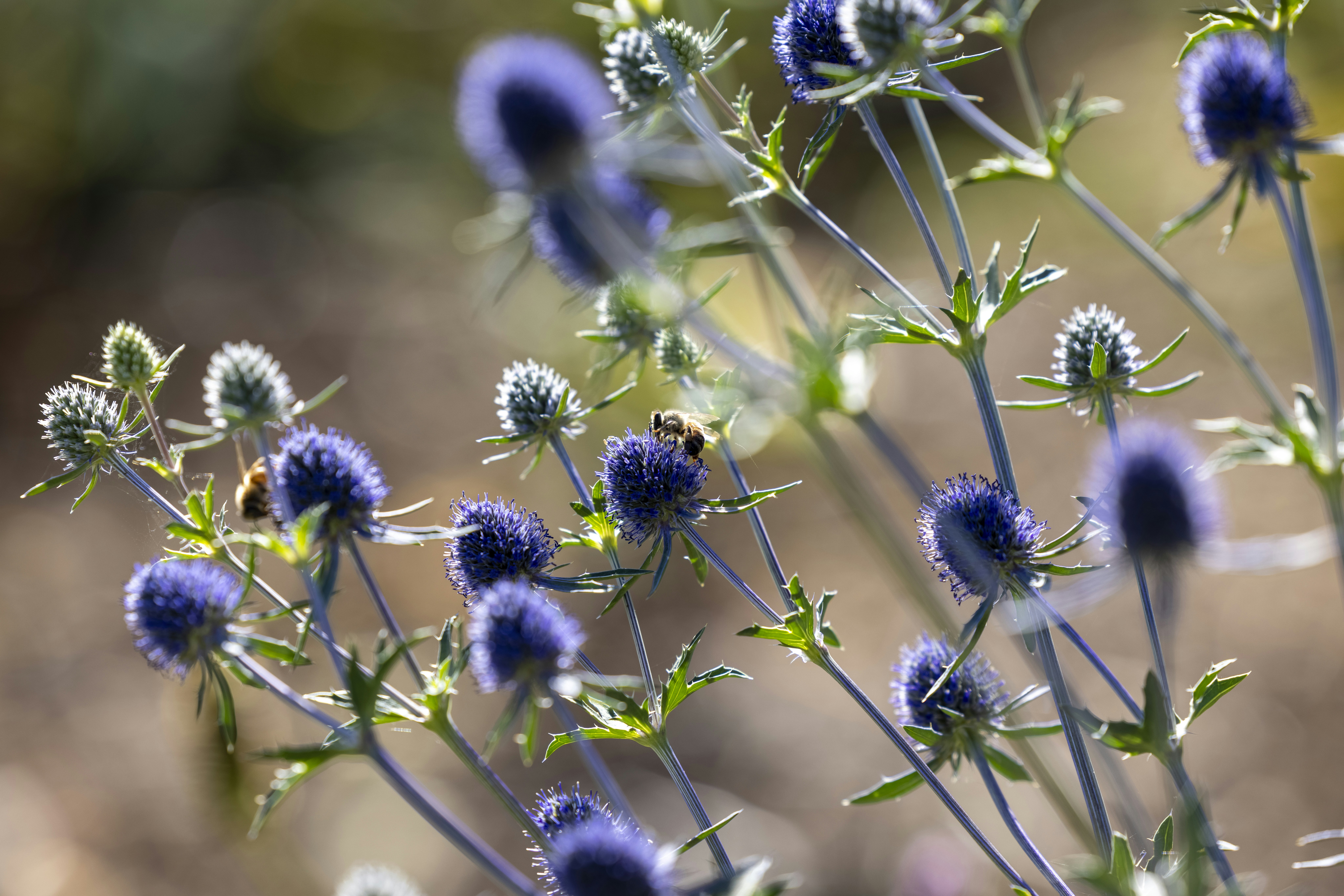 Photo by stephenmabbs