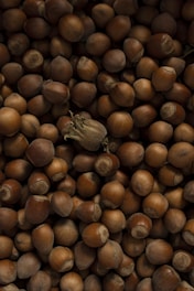 a pile of nuts with a leaf on top of them