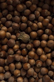 a pile of nuts with a leaf on top of them
