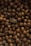A collection of hazelnuts closely packed together fills the frame. The brown nuts vary slightly in shade and texture, with their smooth shells reflecting light subtly. Among them, a single dried plant stands out with a textured appearance.