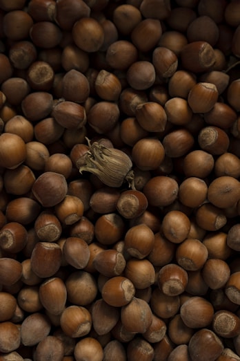 a pile of nuts with a leaf on top of them