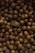 A collection of hazelnuts closely packed together fills the frame. The brown nuts vary slightly in shade and texture, with their smooth shells reflecting light subtly. Among them, a single dried plant stands out with a textured appearance.