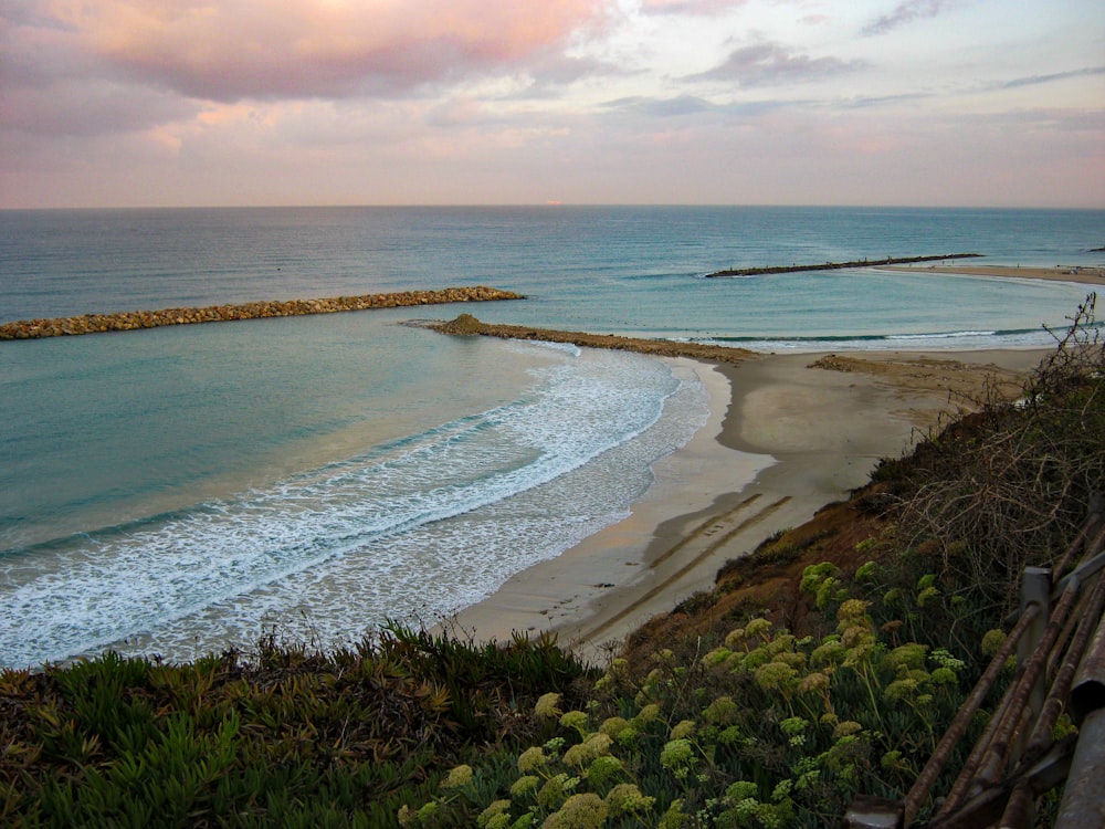 una vista de una playa y un cuerpo de agua