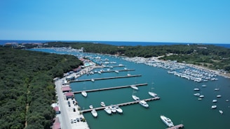 A marina with numerous docks and boats, surrounded by dense green foliage and trees. In the background, there is a view of the sea stretching out to the horizon. The marina area includes some buildings and a road with parked cars along the edge.