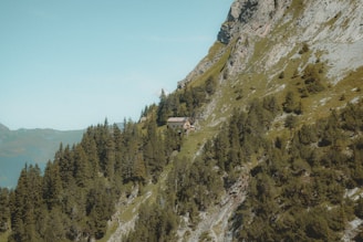 A quaint cabin is nestled on a steep mountainside, surrounded by lush green trees and rugged rock formations. The sky is clear with a light blue hue, and the landscape offers a sense of isolation and tranquility.