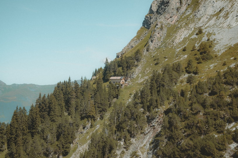 A quaint cabin is nestled on a steep mountainside, surrounded by lush green trees and rugged rock formations. The sky is clear with a light blue hue, and the landscape offers a sense of isolation and tranquility.